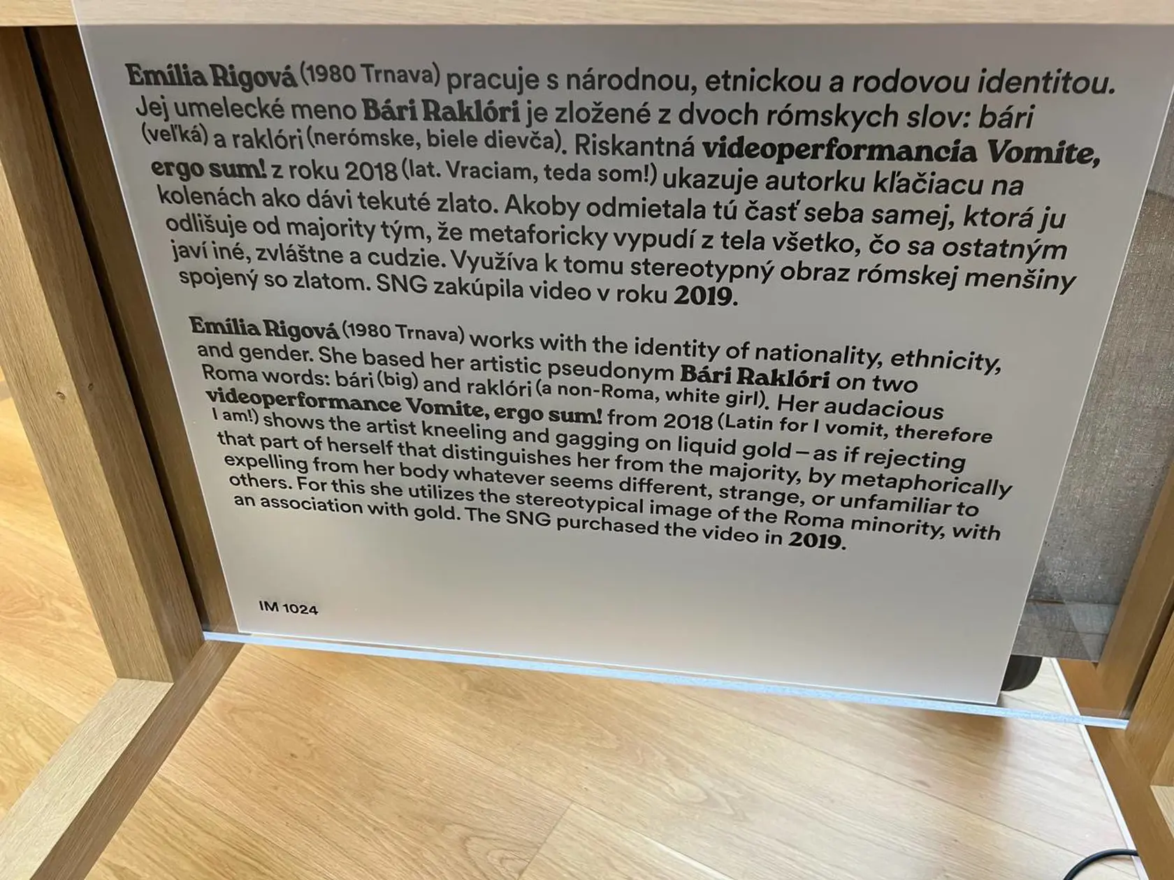 Lukáš Machala a Martina Šimkovičová na prehliadke SNG v marci 2025.