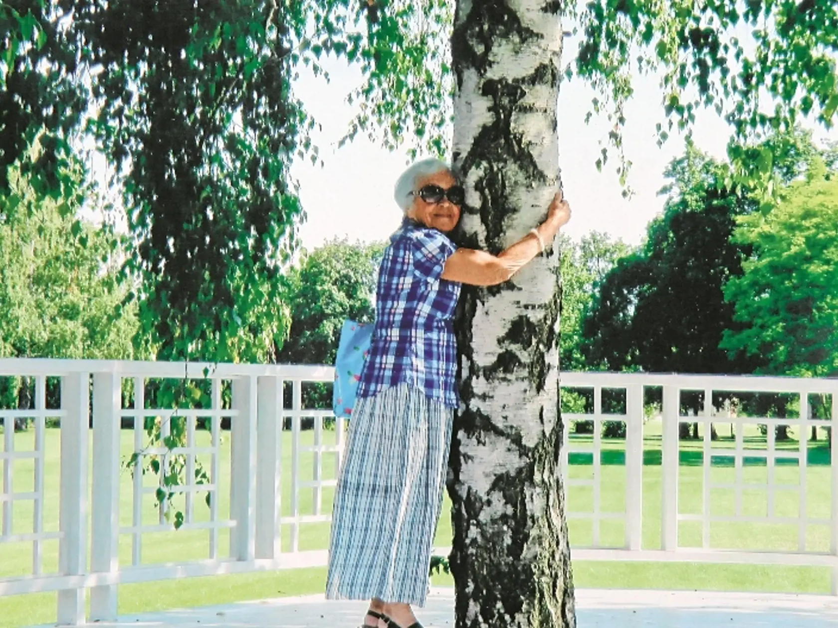 Energiu si dobíja aj objímaním stromov.