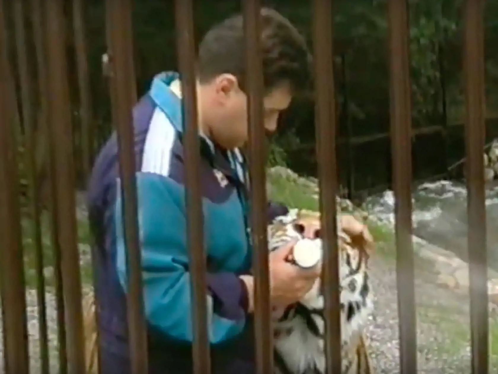 Mikuláš Černák a jeho tigre. Choval ich v čase, keď páchal svoje nejzávažnejšie zločiny. 