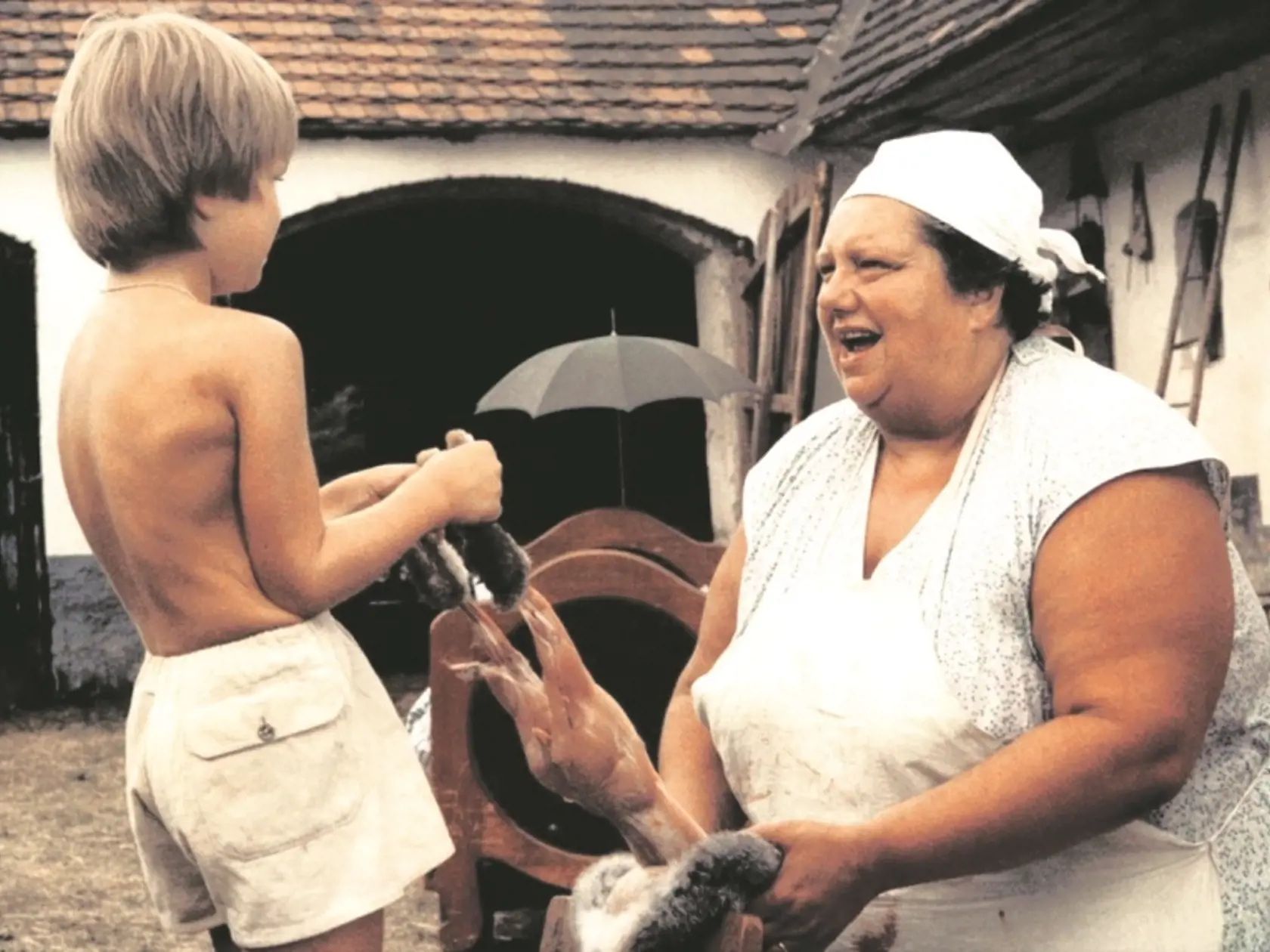Helena Růžičková hviezdila v trilógii Slunce, seno...