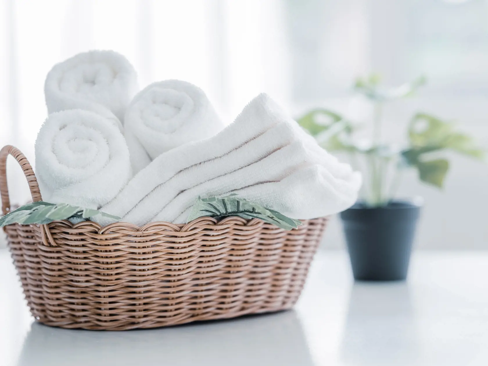 White,Cotton,Towels,In,Basket,With,Green,Plant,On,White