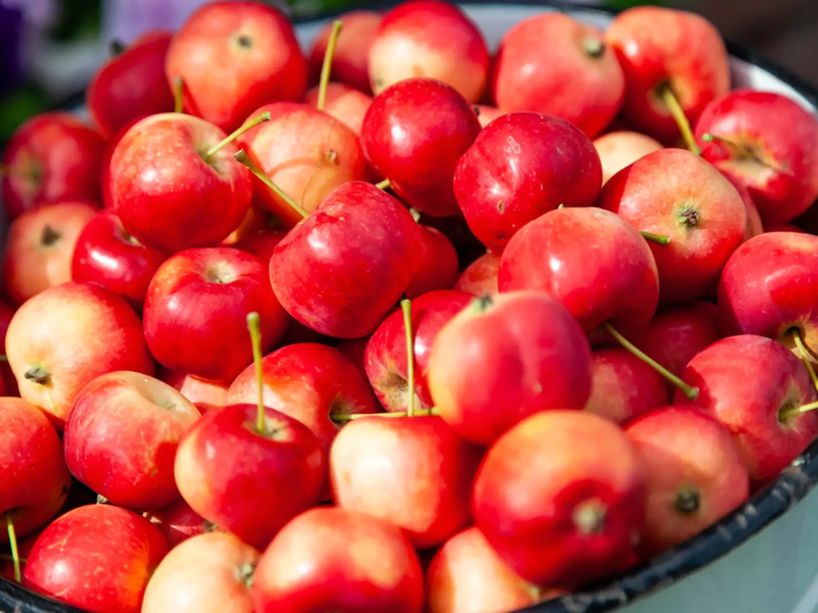 Jablká obsahujú betakarotény, vitamíny B, C a E, železo, draslík, zinok, meď a horčík. Podporujú zdravé trávenie, pôsobia priaznivo na tvorbu črevnej mikroflóry, povzbudzujú funkciu pečene, znižujú hladinu tukov v krvi a majú protizápalové účinky.
