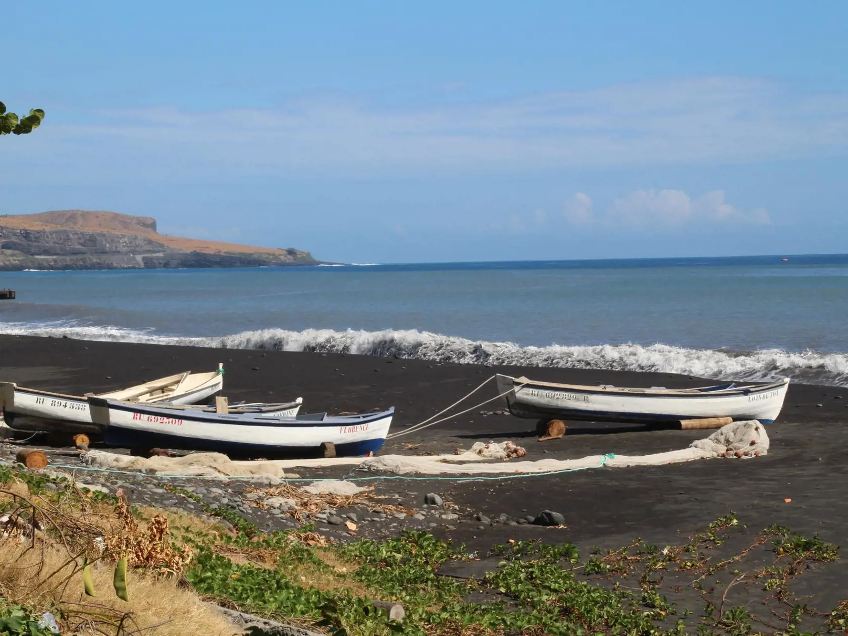 Réunion: žraloky.