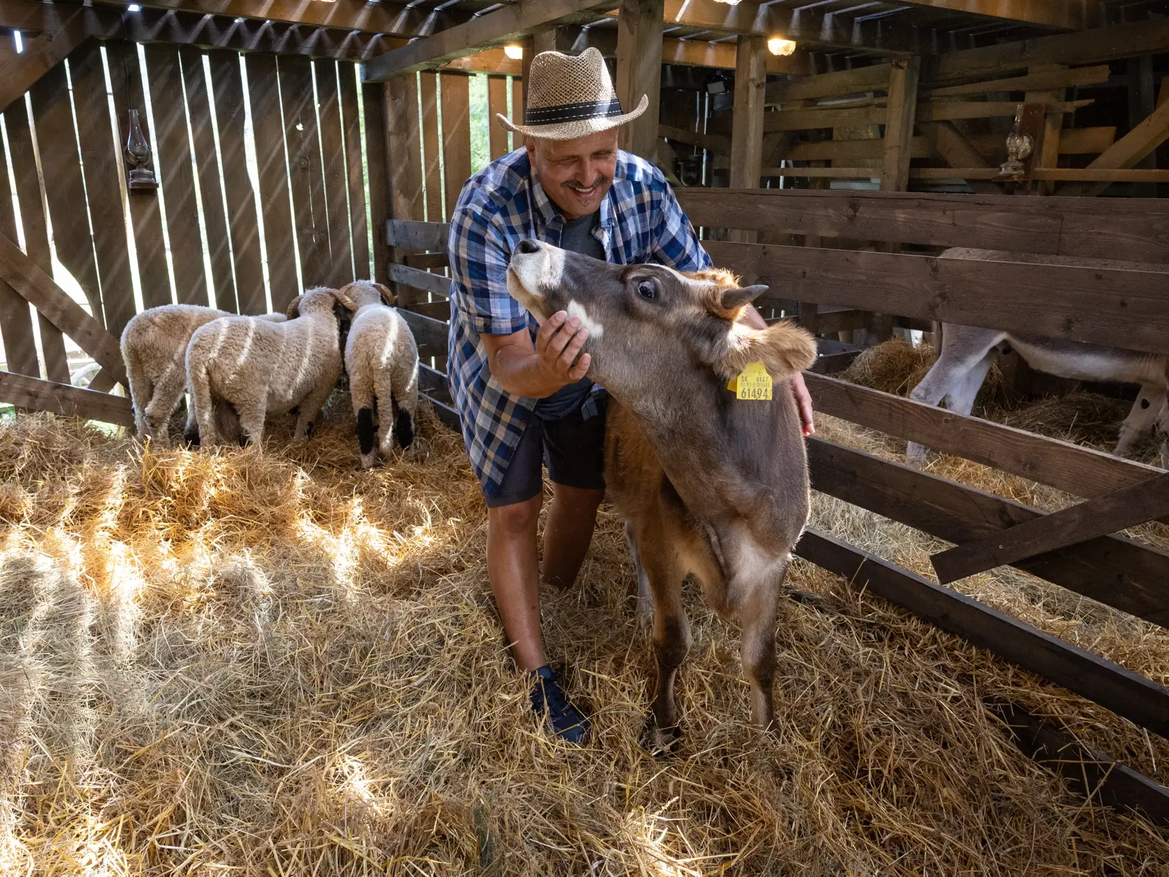 Realityshow Farma - 16. Ročník obľúbenej sútaže televízie Markíza sa bude odohrávať nedaľeko obce Modrová. Na snímke je farmár Martin Bagár.
