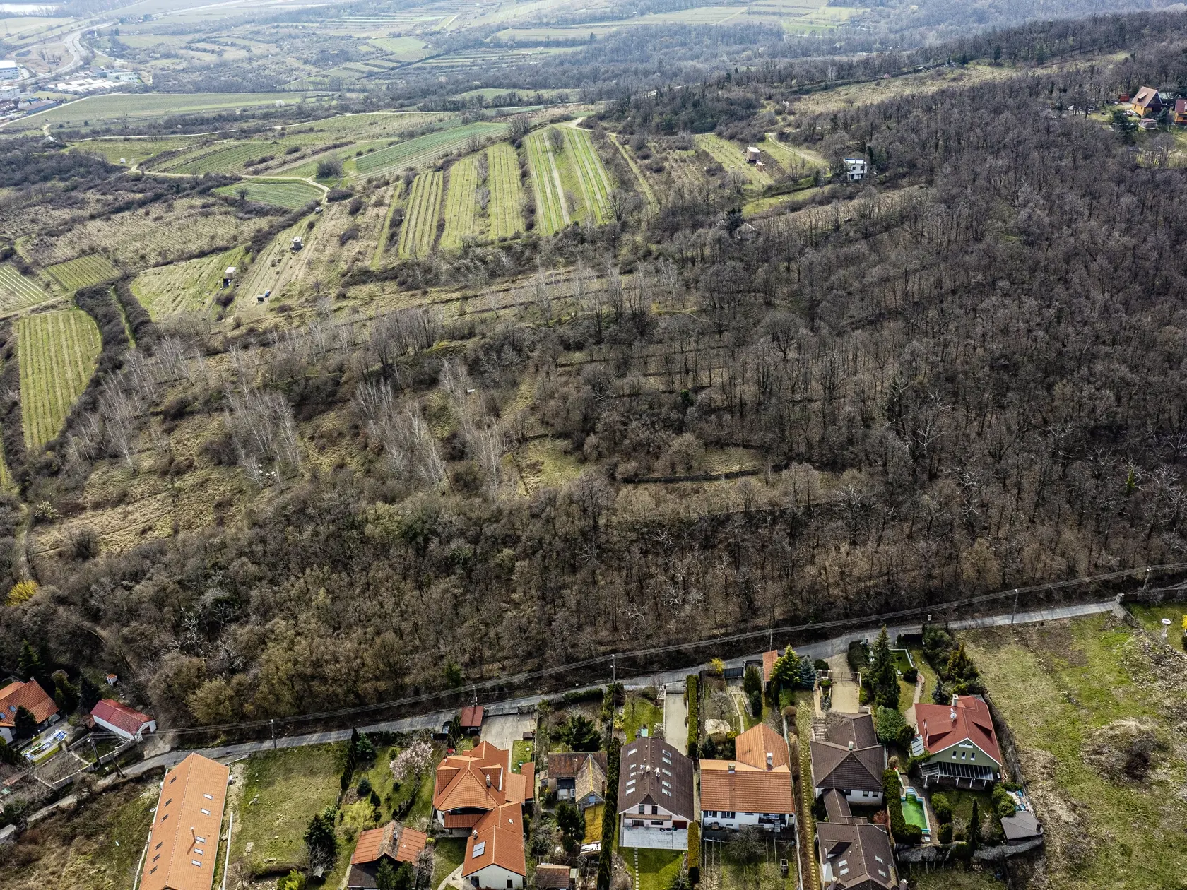 DOSTALI HO DAROM
Vo Svätom Jure vlastnia manželia pozemok s výmerou 5-tisíc štvorcových  metrov.