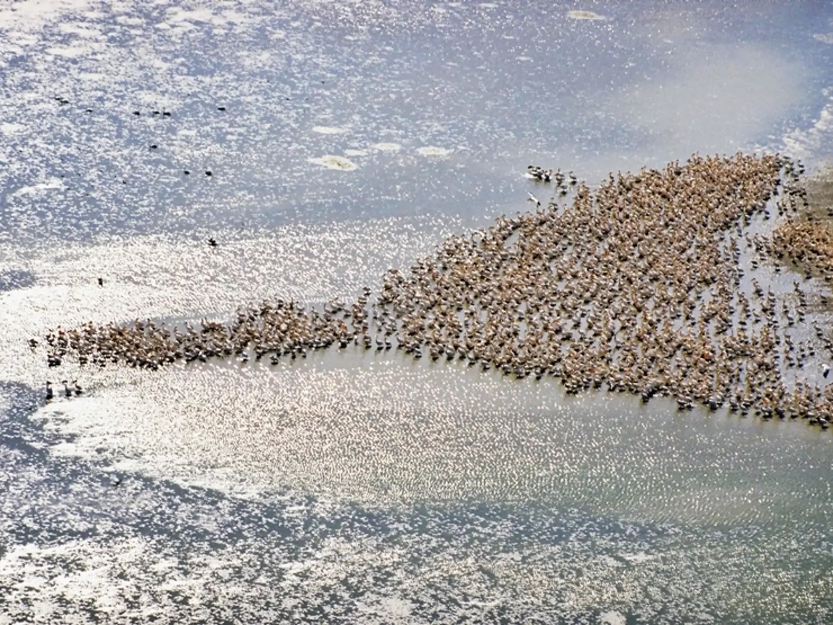 Delta Dunaja