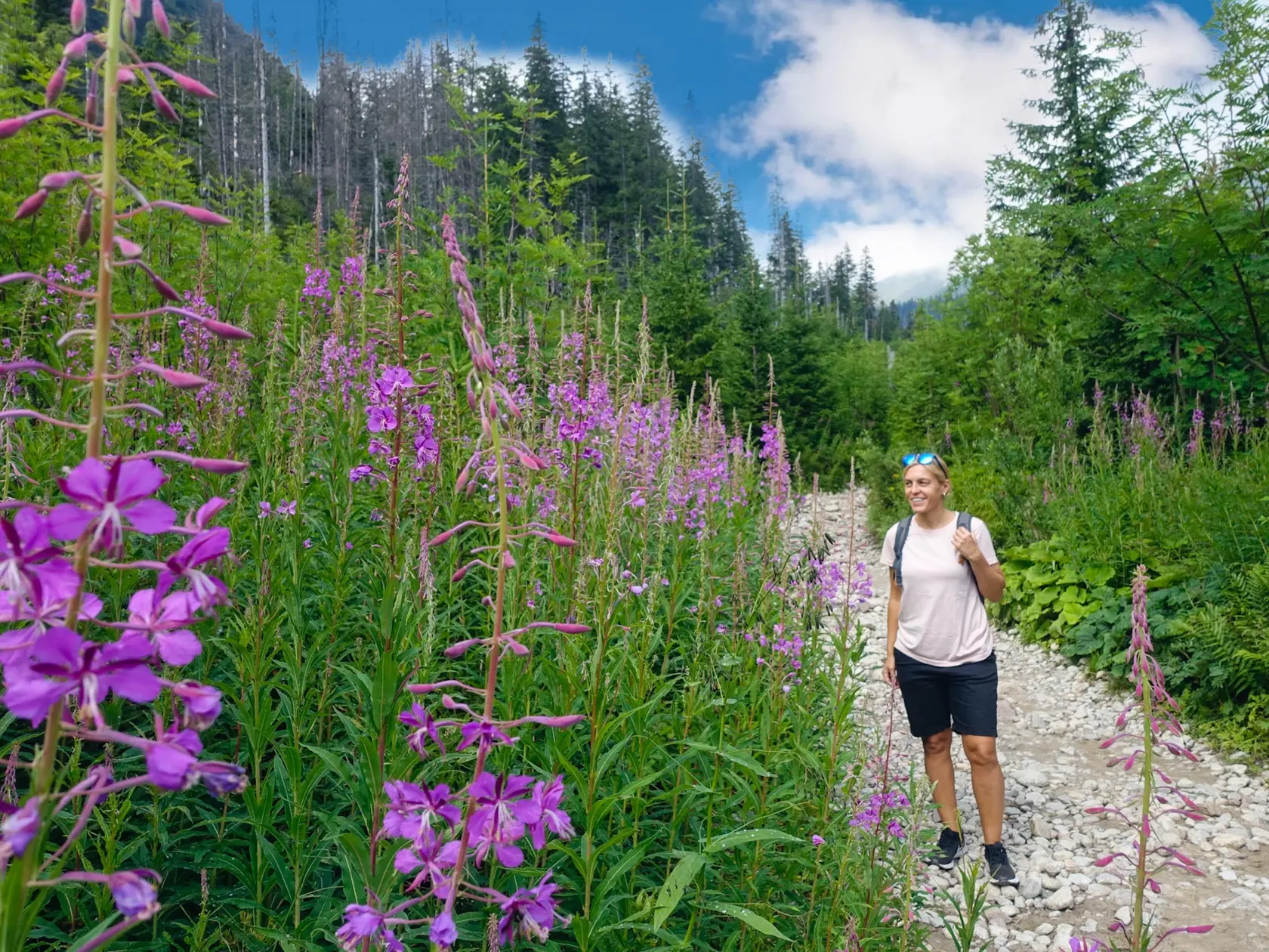 Tatry