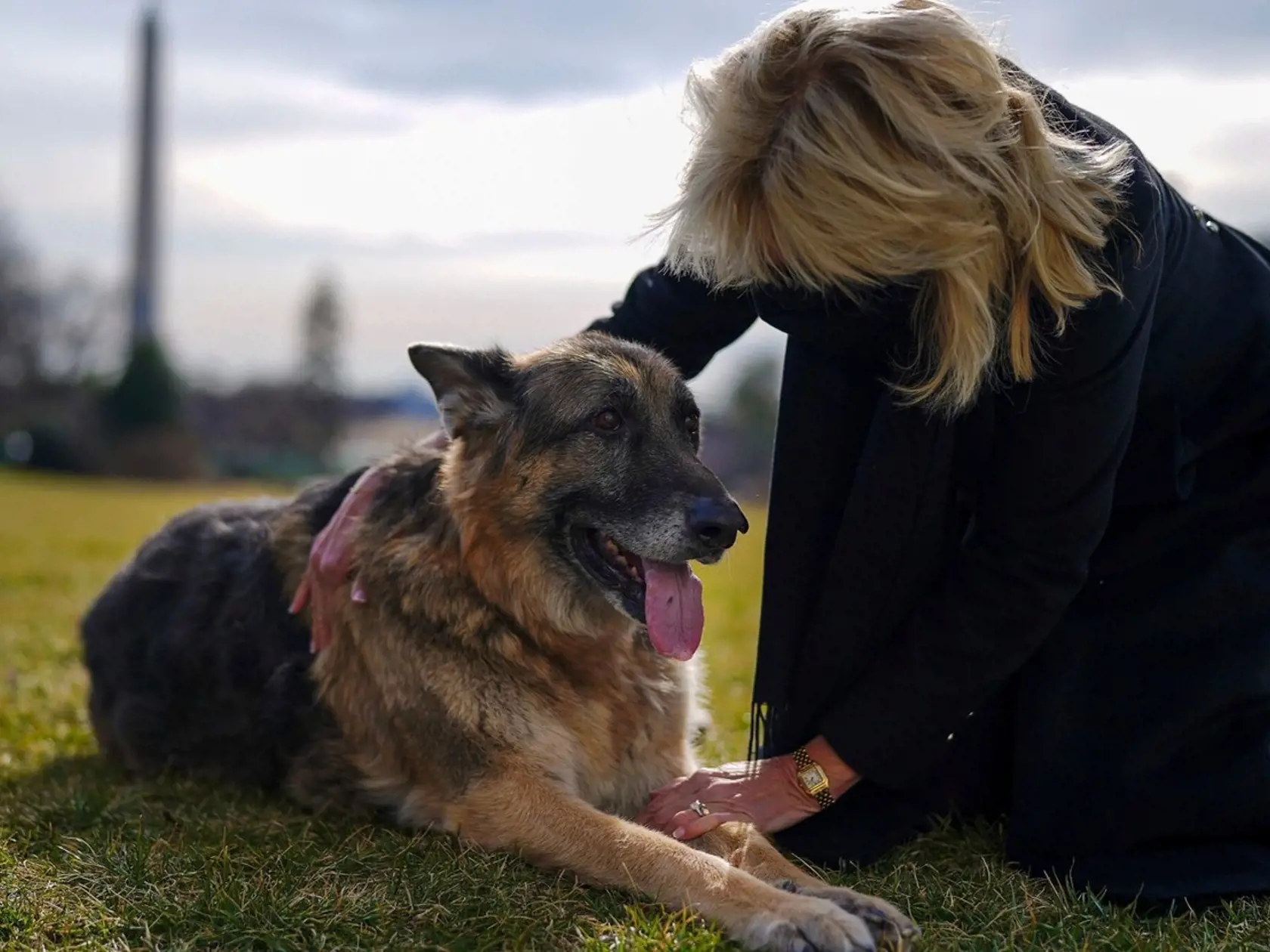 Prvá dáma Jill Bidenová má za sebou poriadne nabitý týždeň.