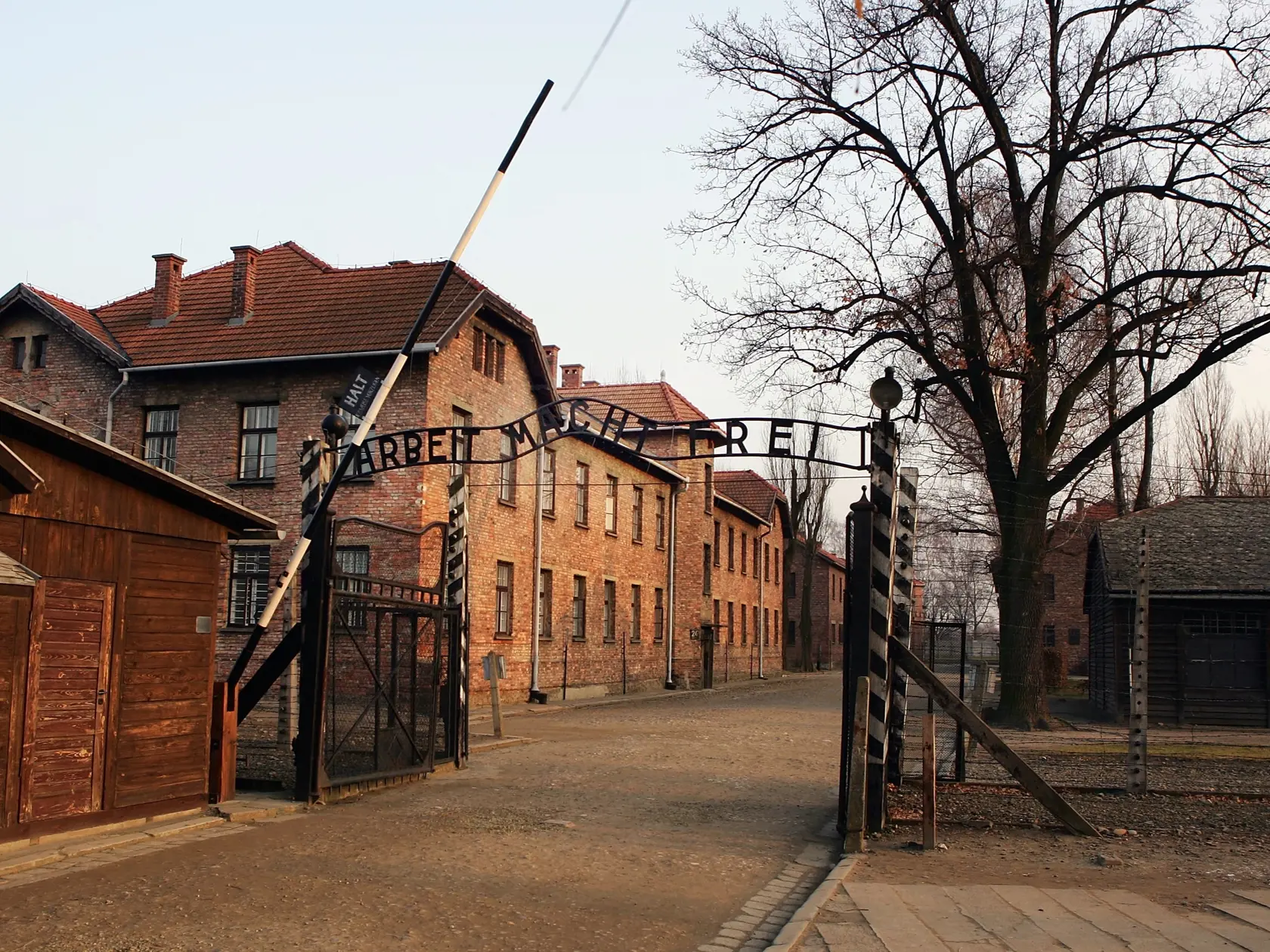 Svetová verejnosť si 27. januára každoročne pripomína utrpenie židovskej komunity počas druhej svetovej vojny. Práve v tento deň v roku 1945 bol oslobodený komplex koncentračného tábora Auschwitz-Birkenau. Počas holokaustu v období druhej svetovej vojny zabili nacisti šesť miliónov Židov.