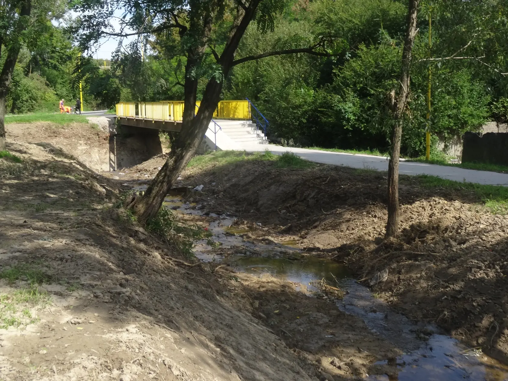 Potok správca vyčistil a zreguloval.