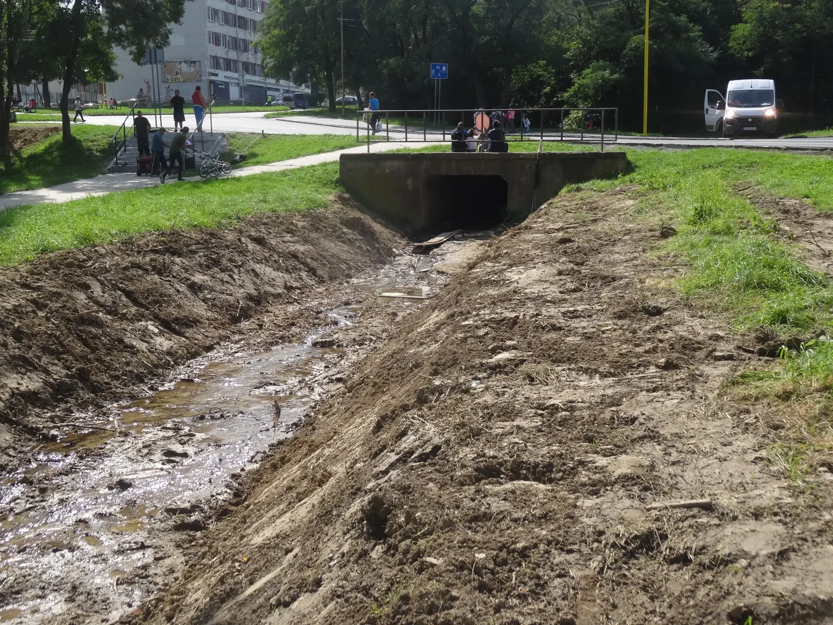 Potok správca vyčistil a vyreguloval.