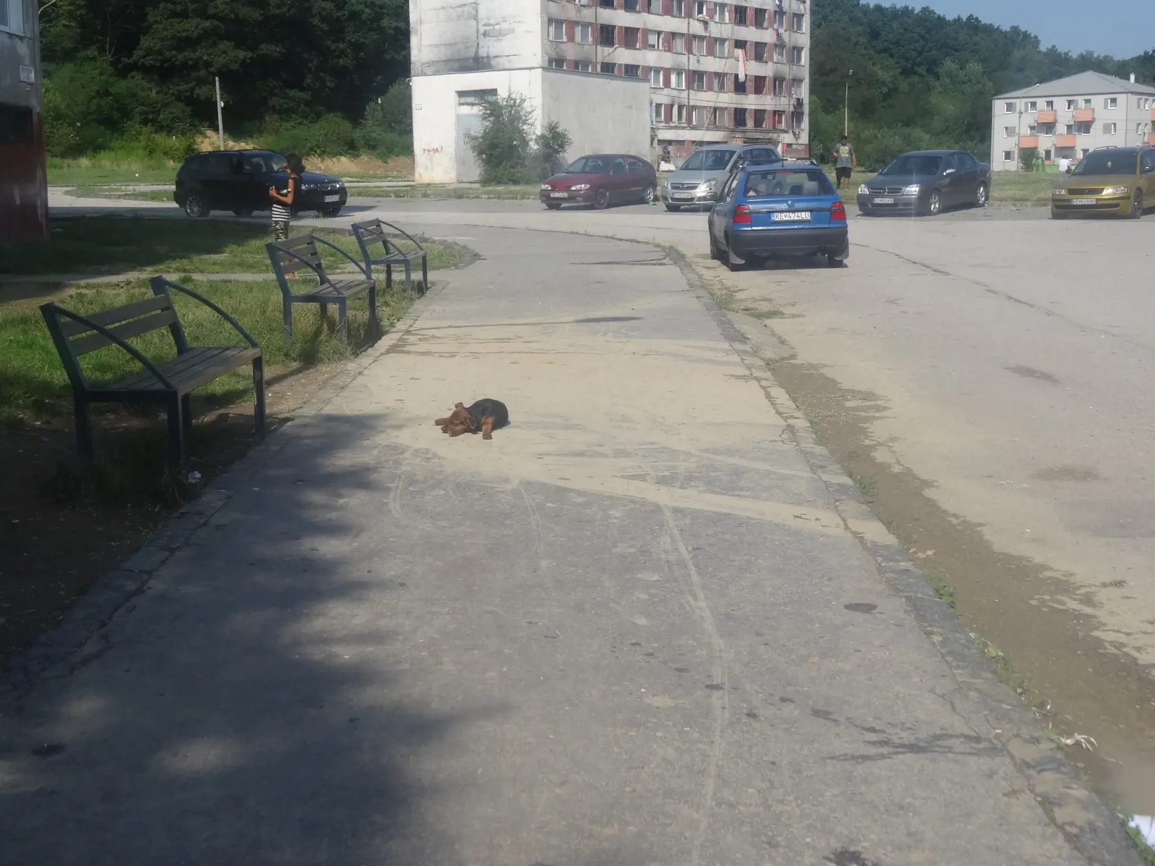 Na Lunik IX neobvyklá pokojná atmosféra. Podpísalo sa pod ňu veľké teplo.
