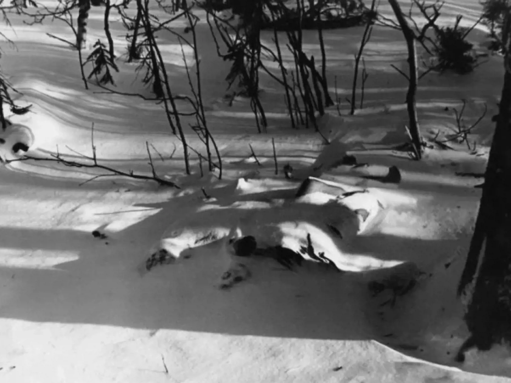 V noci z 1. na 2. februára 1959 zahynula za doteraz nejasných okolností v priesmyku na severnom Urale skupina turistov vedená študentom techniky Igorom Ďatlovom.