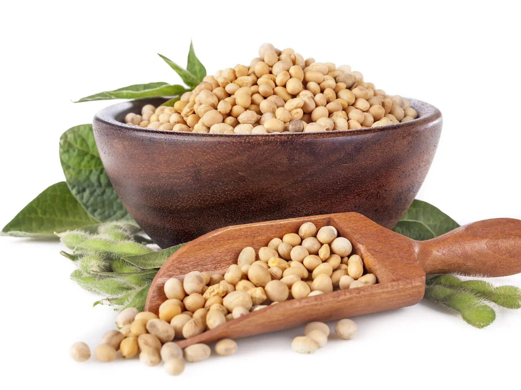 Freshly,Harvested,Domestic,Soybeans,In,A,Wooden,Bowl,With,Leaves