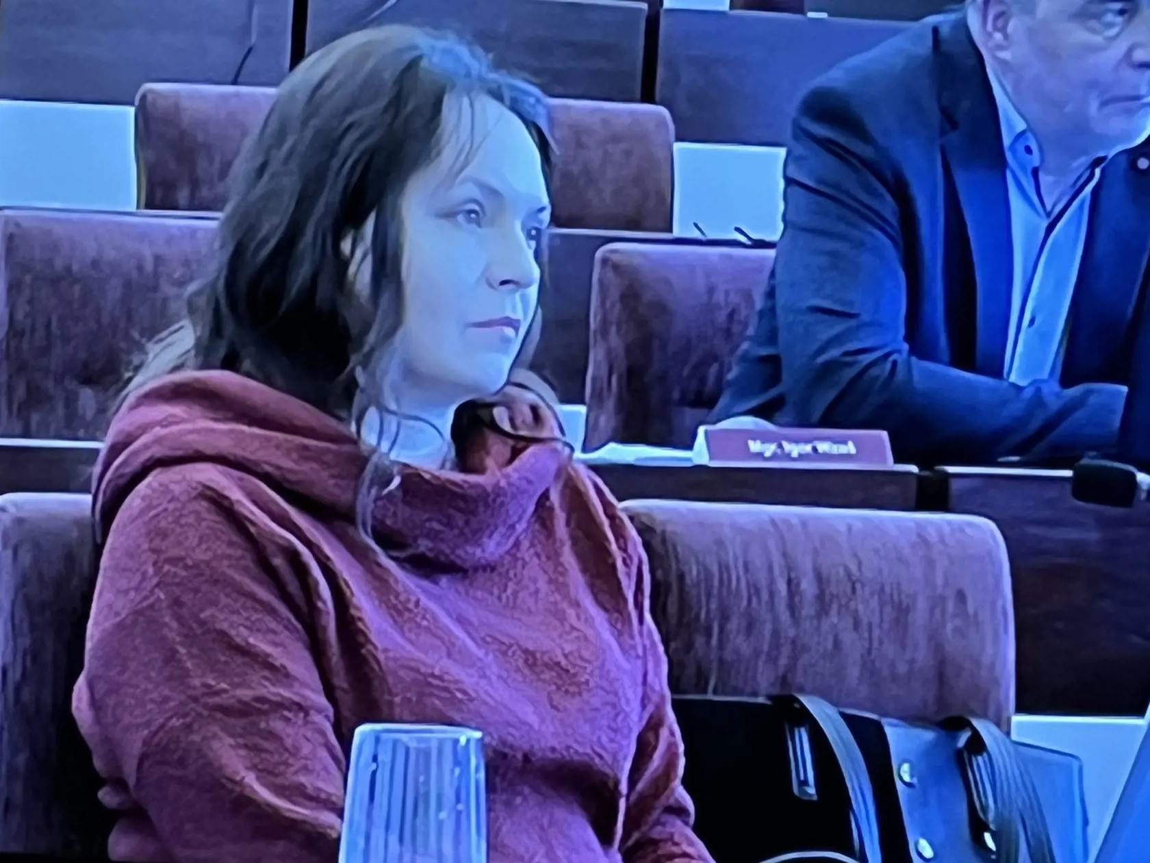 Takto vyzerá dnes bývalý parlamentná poslankyňa a neúspešná kandidátka na prezidentku Helena Mezenská. Roky pôsobí ako členka popradského mestského zastupiteľstva a venuje sa problémom spotrebiteľov ako ich ombudsmanka.