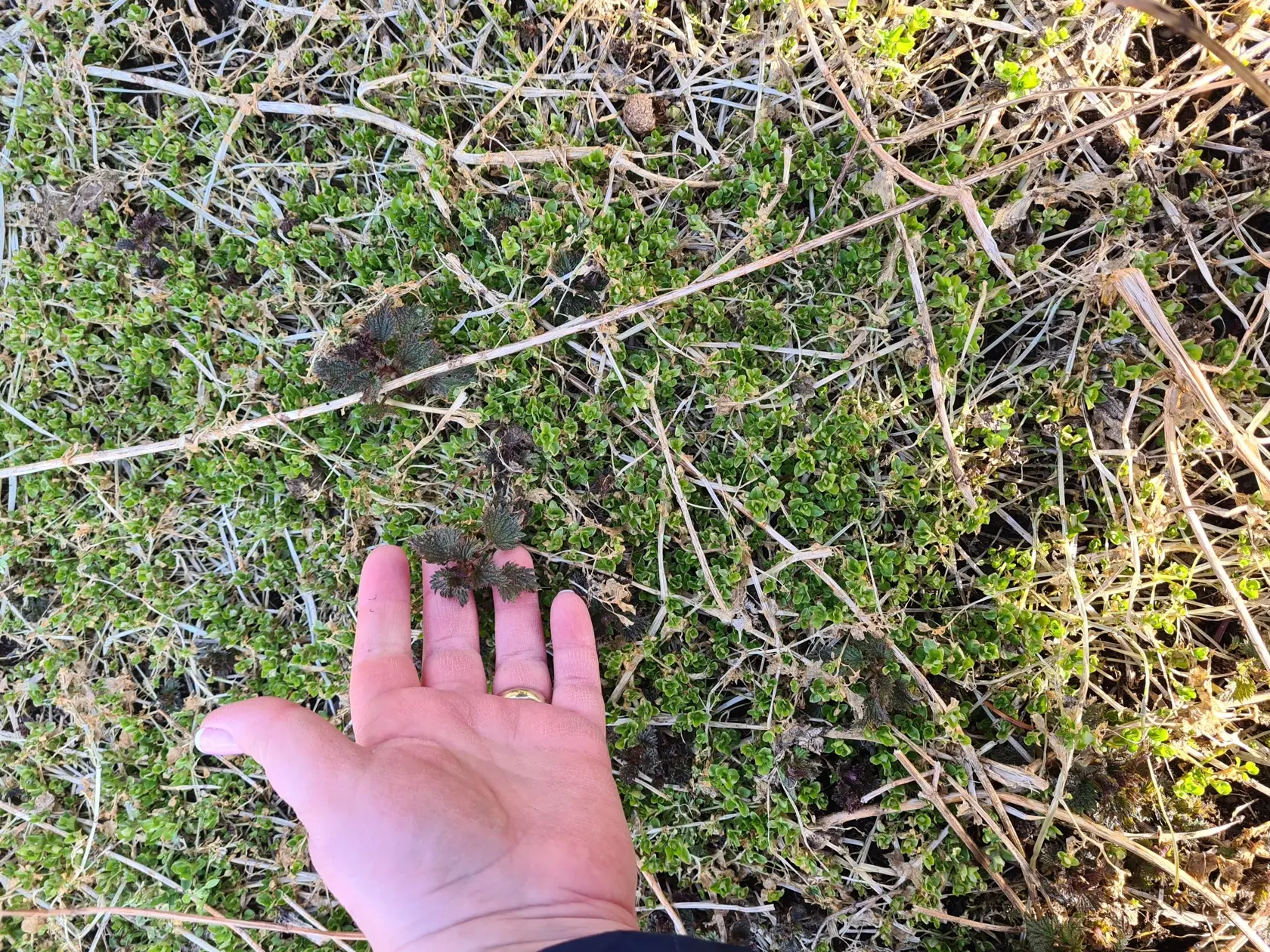 Aprílová príroda sa s predlžujúcim sa dňom prebúdza zo zimného spánku.