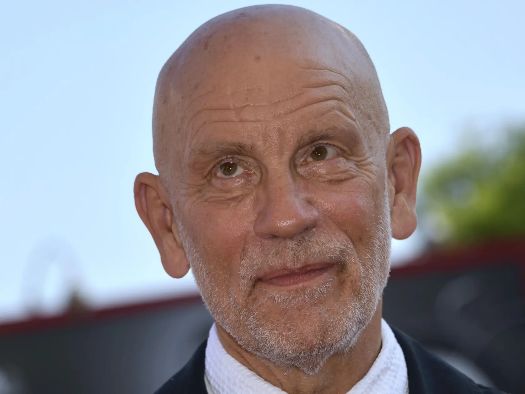 John Malkovich 