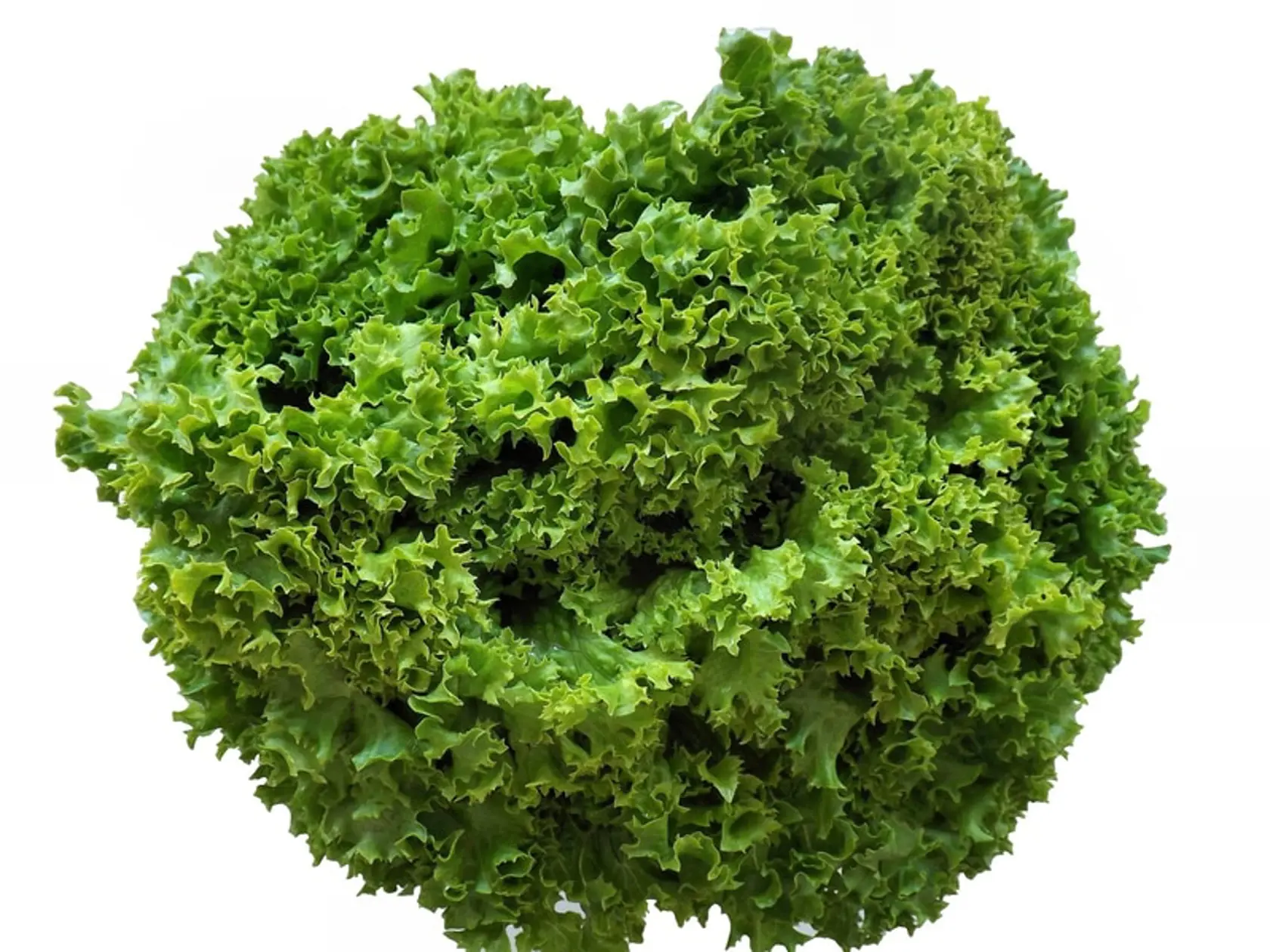 Kyselina listová a vitamín B zlepšujú činnosť mozgu, pamäť, koncentráciu a spánok.
