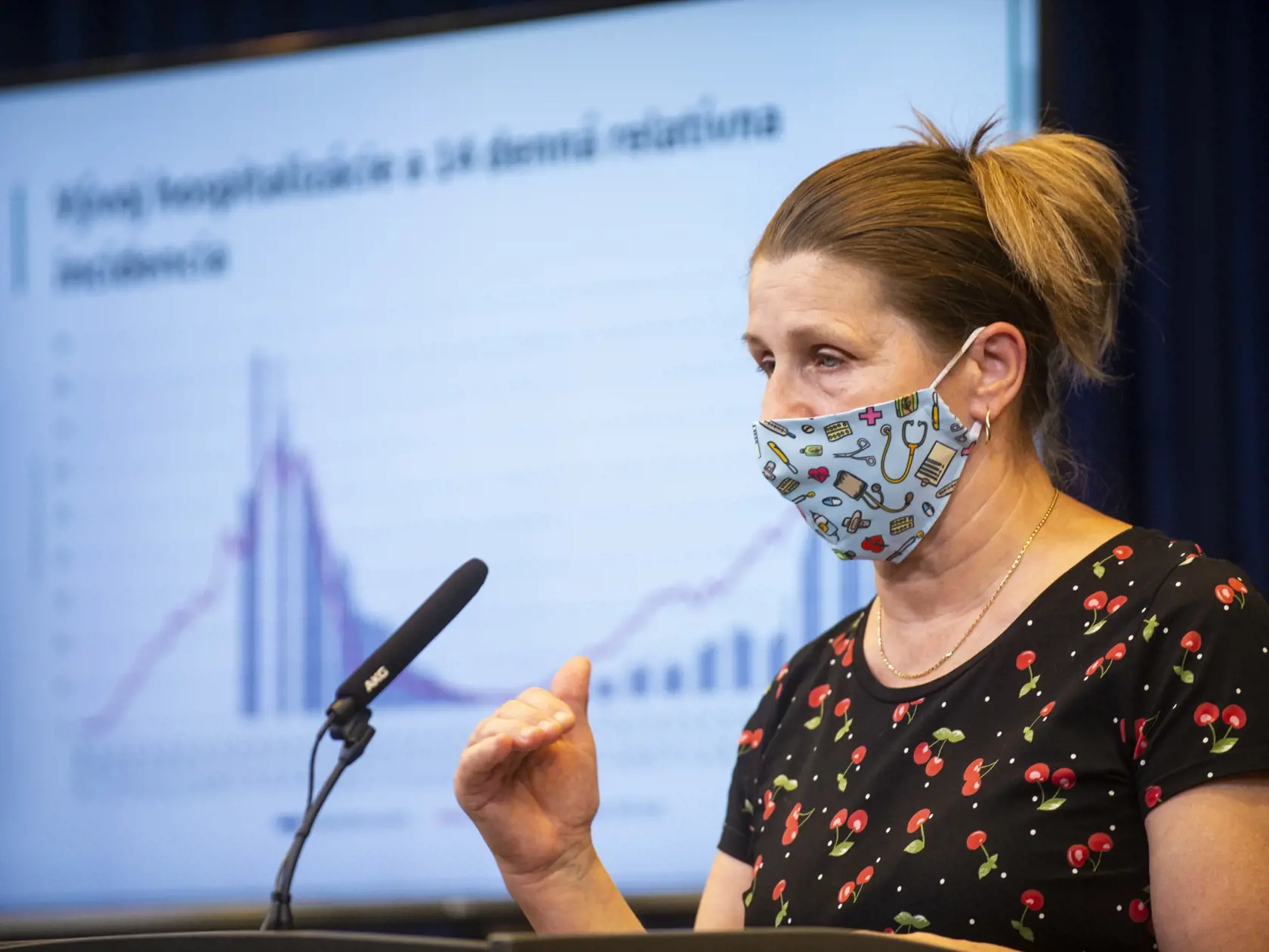 Na snímke hlavná odborníčka ministerstva zdravotníctva SR pre epidemiológiu Henrieta Hudečková