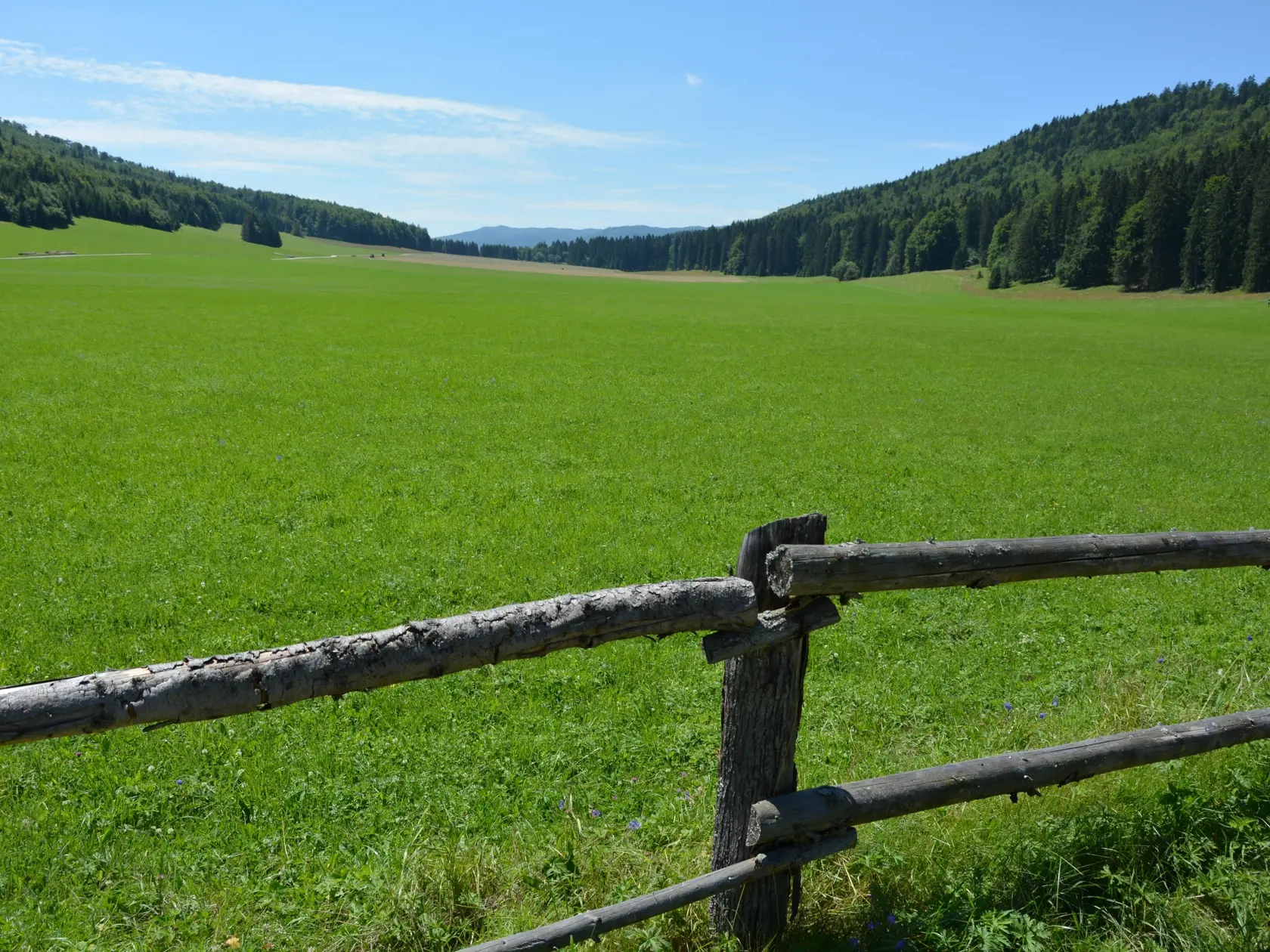 Unikátna planina Veľká lúka. Na nej sa pasie stádo plemena koní Norik muránsky.