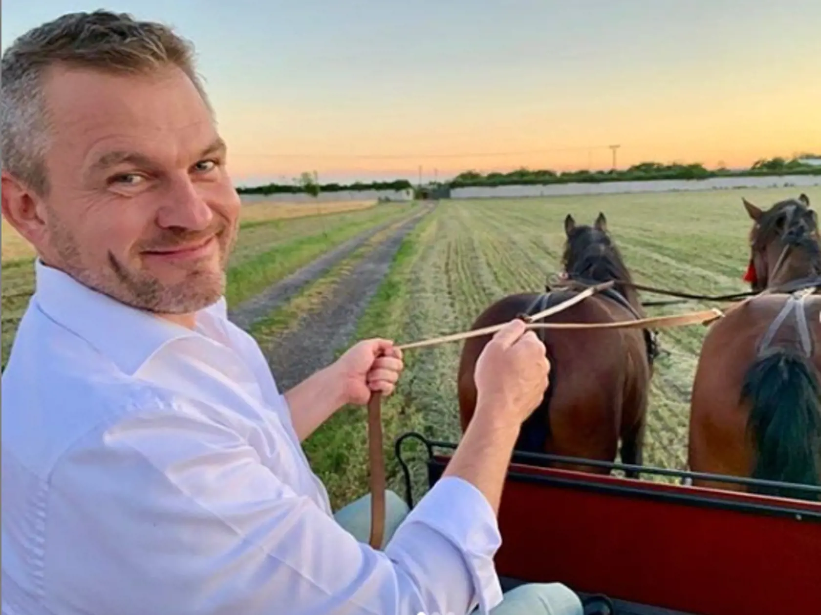 Expremiér Peter Pellegrini na konskom záprahu.