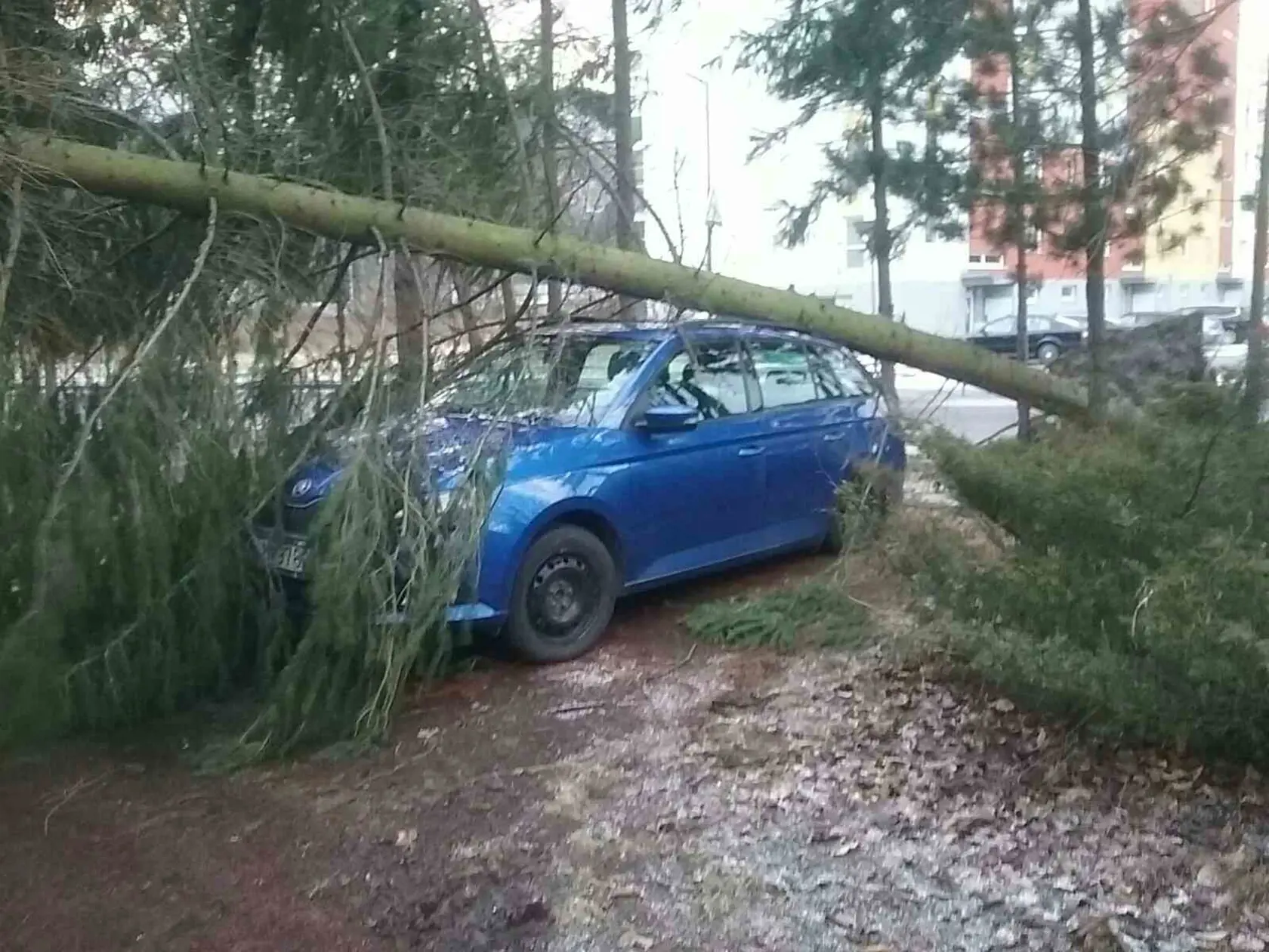 Silný vietor vie napáchať obrovské škody.
