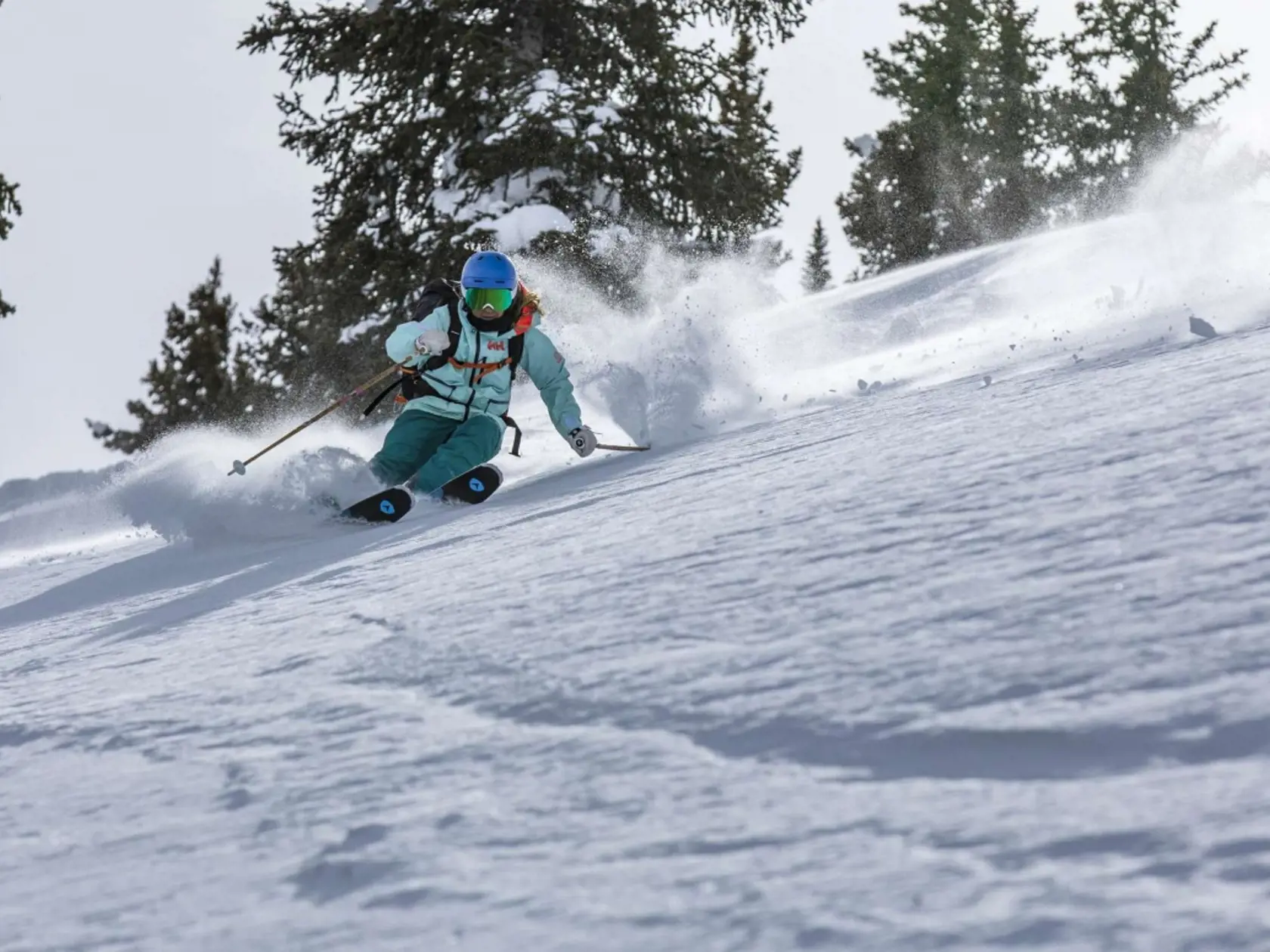 Dnešné podoby skialpinizmu môžme rozdeliť do niekoľkých základných kategórií: Závodný skialpinizmus, Fitness skialpinismus, Turistika na skialpoch, Klasický skialpinizmus a Freeride.
