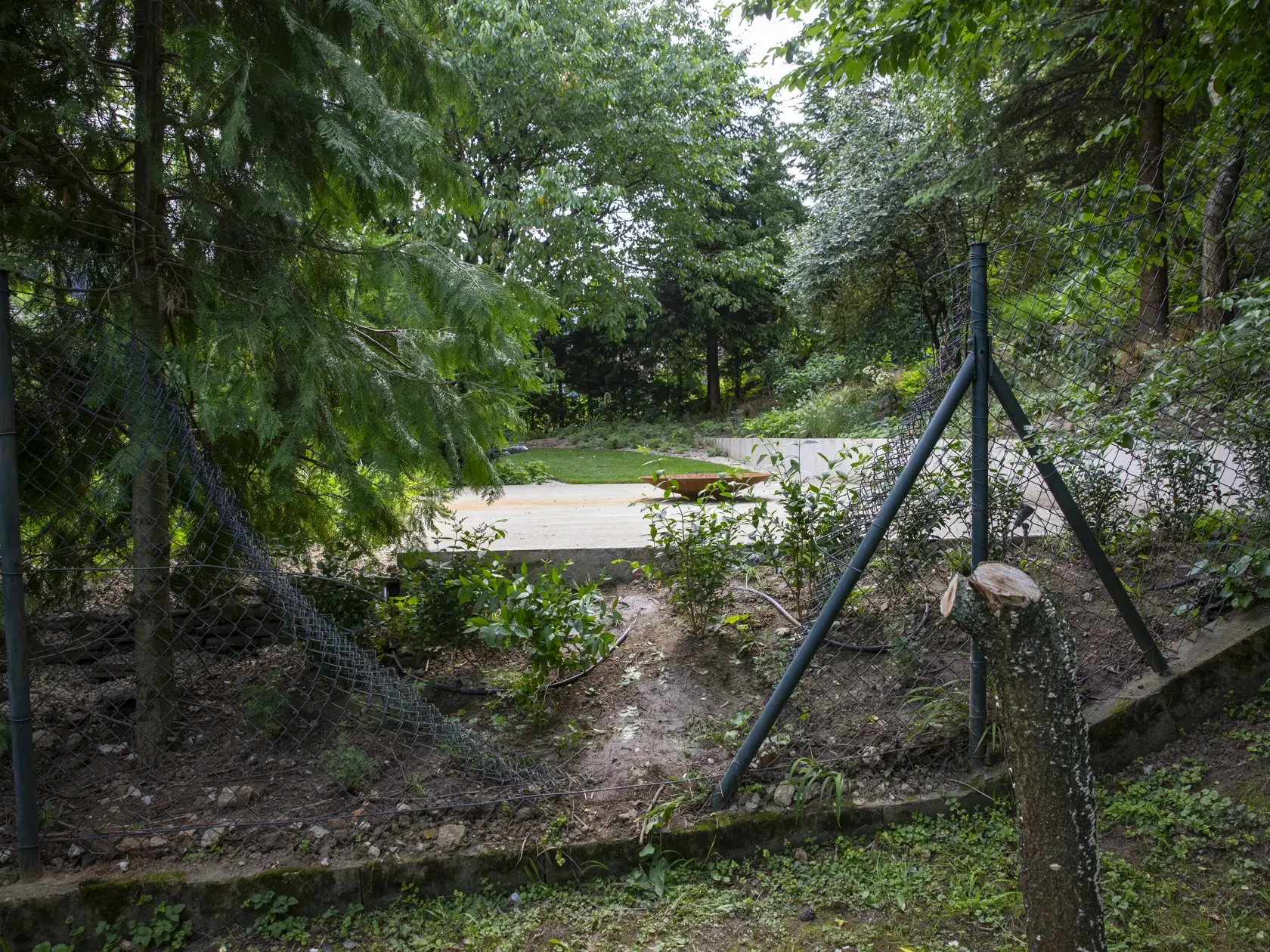 Minulý rok v júni vystriedala radosť bývalej tenistky s čerstvo narodeného synčeka Jakuba správa o tom, že zlodeji si podali jej chalupu v obci Plavecké Podhradie.