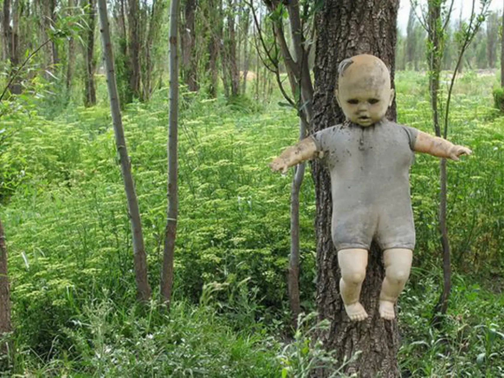 Ostrov bábik, v Mexiku volaný Isla de las Munecas. Niekoľko stoviek zmrzačených a desivých bábik vraj obsahuje duše mŕtvych dievčat.