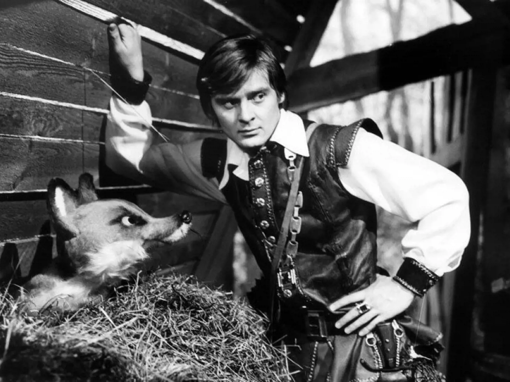 V rozprávke O ptáku Ohniváku (1980).
