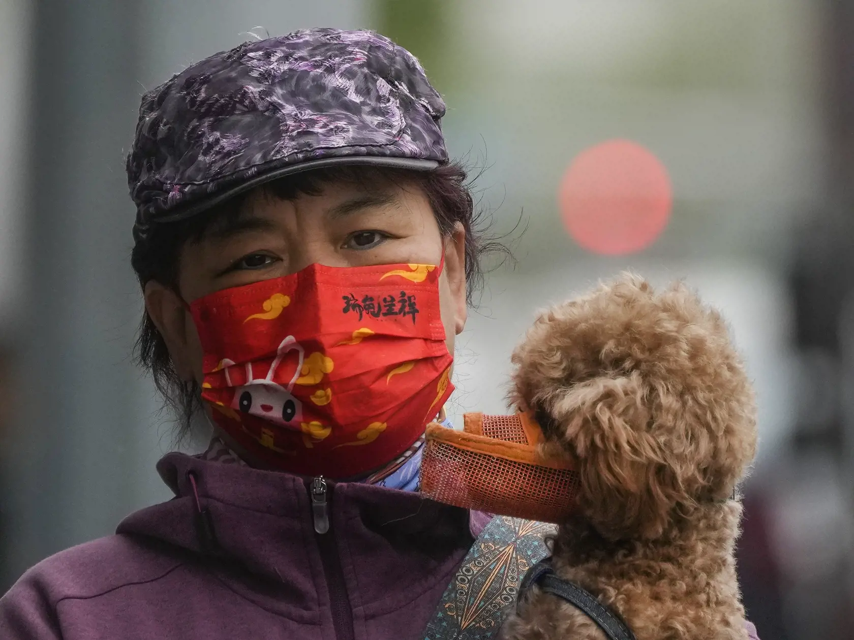 EBE 1 Peking - Na snímke žena s ochranným rúškom so psíkom s náhubkom na ulici v čínskom Pekingu vo štvrtok 20. apríla 2023. FOTO TASR/AP

A woman wearing a face mask carries her pet dog with a muzzle along a street in Beijing, Thursday, April 20, 2023. (AP Photo/Andy Wong)