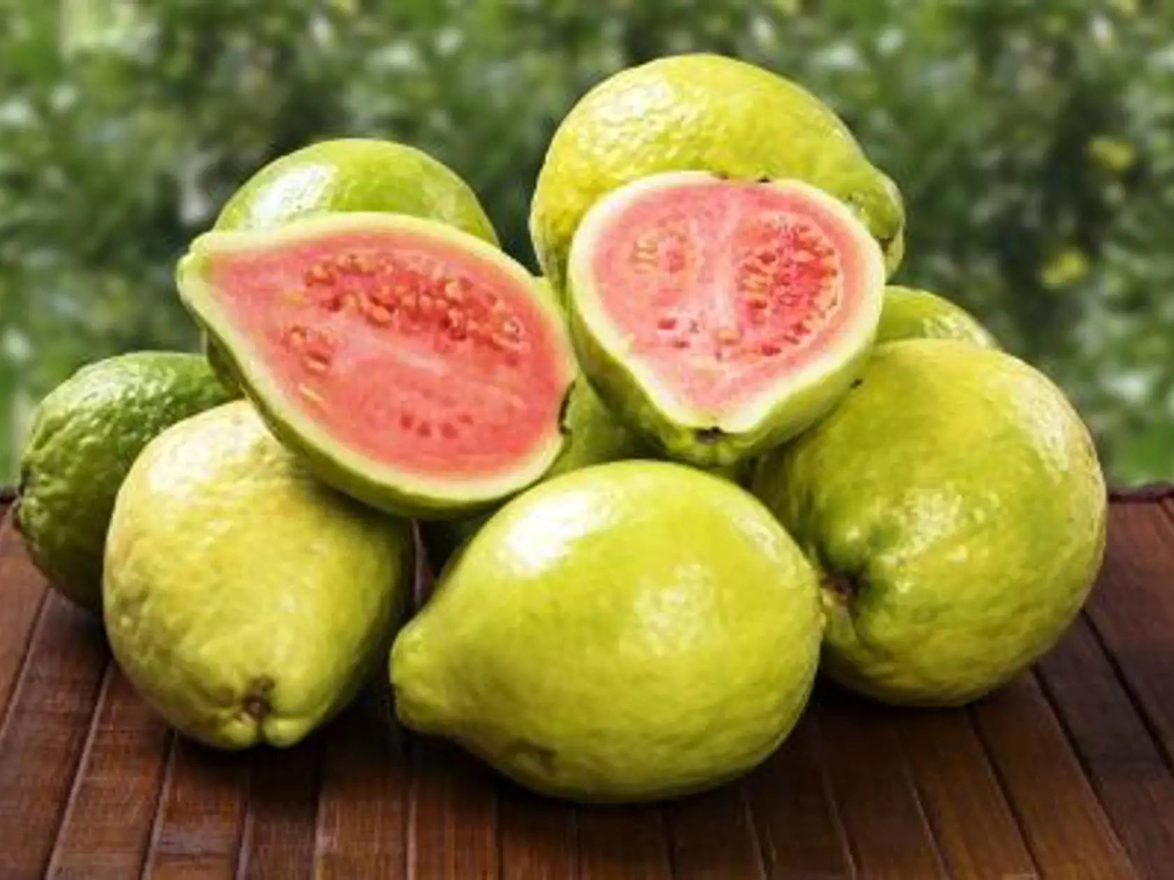 guava