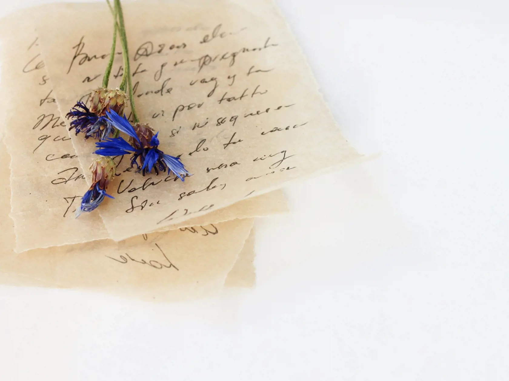 list - listy - rukopis