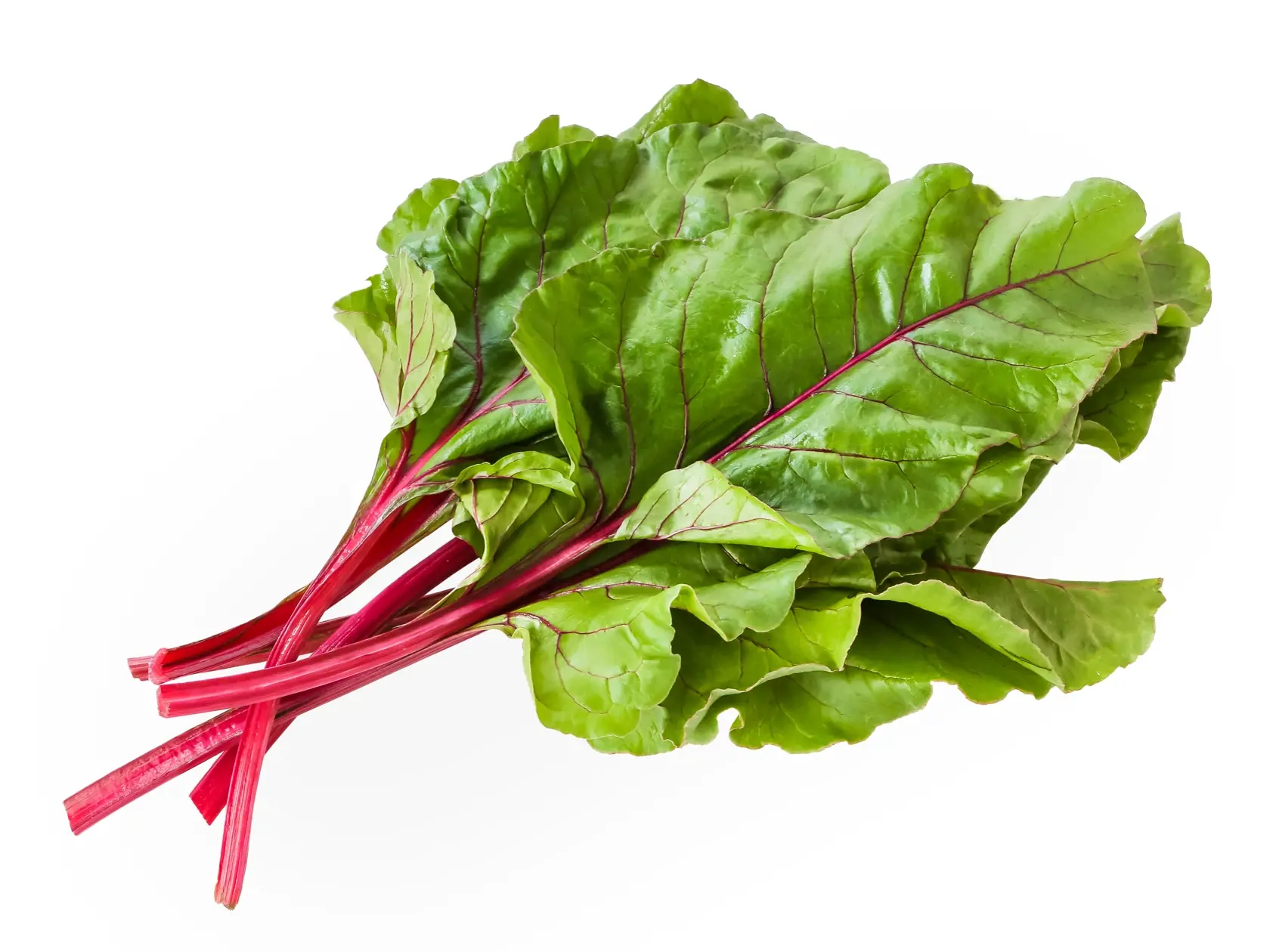 Sweet,Beet,Leafs(mangold),On,White