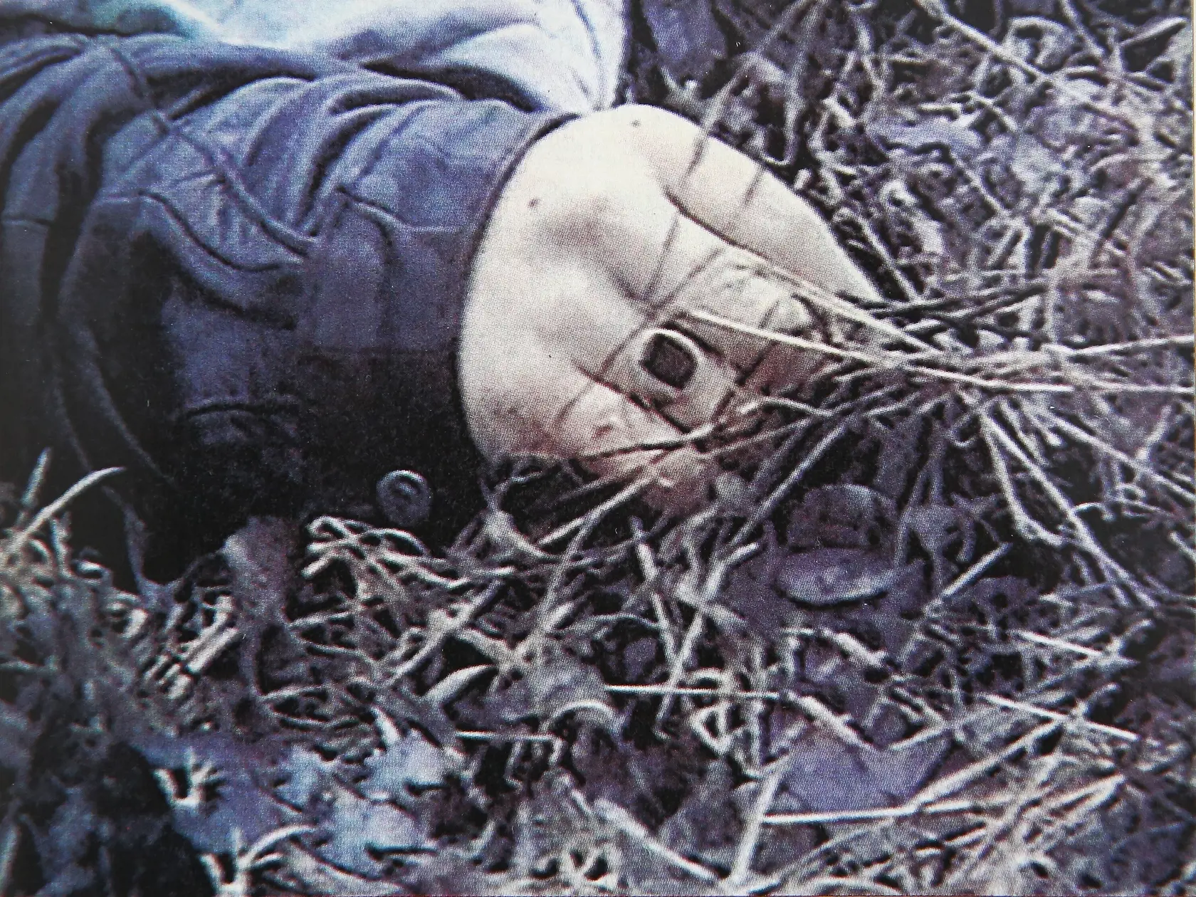 Vražda Petra Suržinu, jeho telo našli neďaleko obce Vydrník.Už pri obhliadke miesta činu bolo zjavné, že motív nebol majetkový.