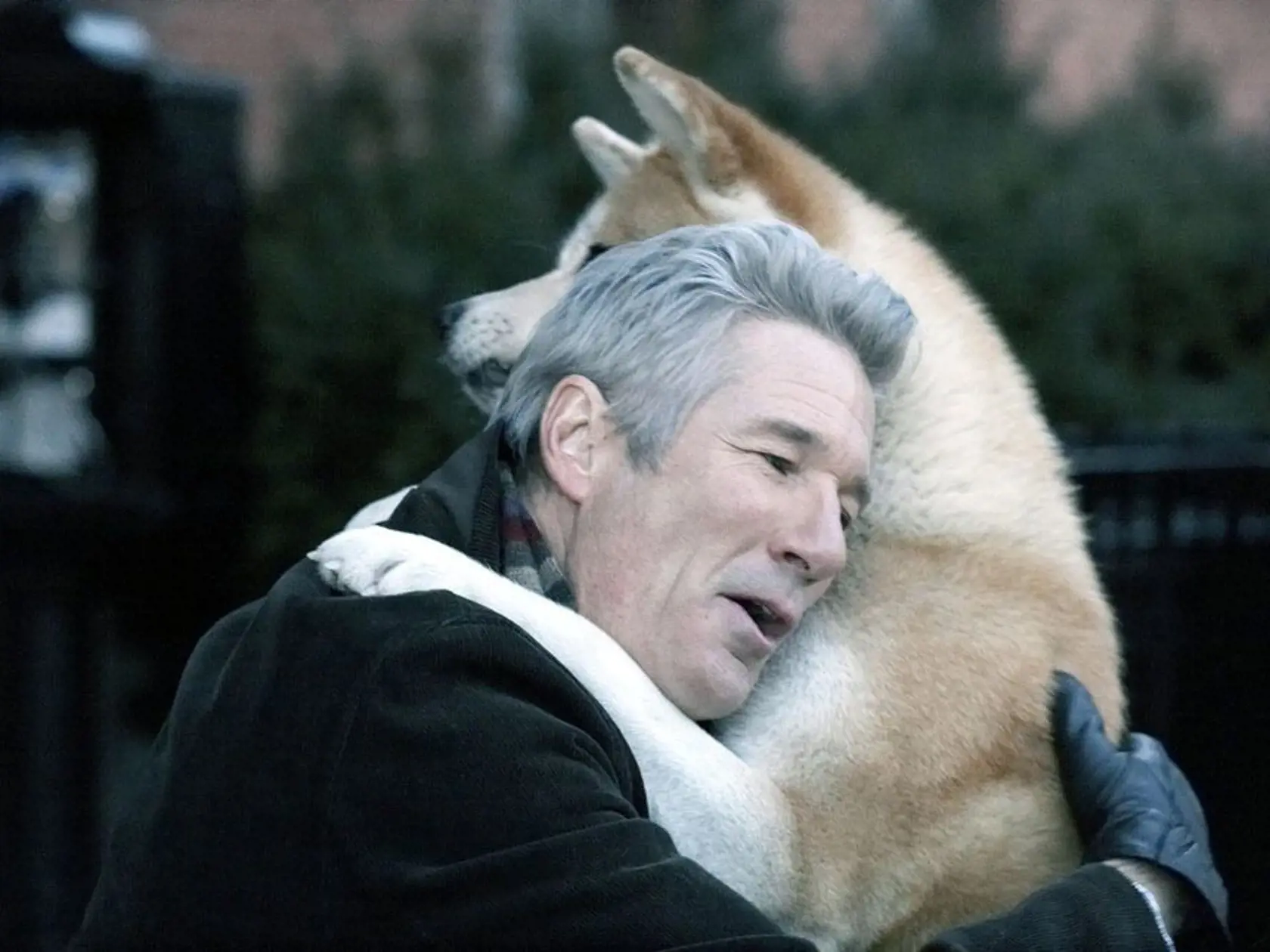 Príbeh vernosti inšpiroval aj hollywoodskych filmárov. Hačikóovho pána stvárnil Richard Gere.