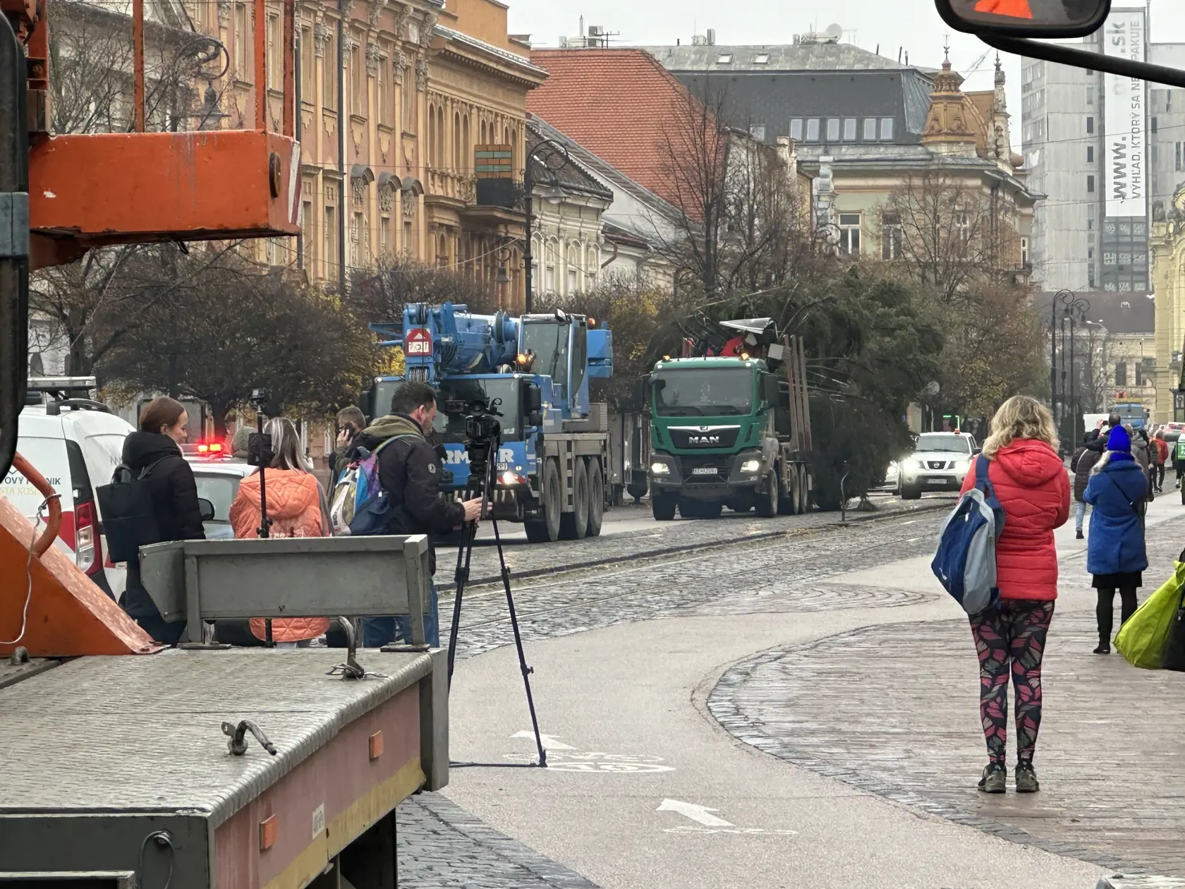 Stromček na ceste na Hlavnú ulicu.