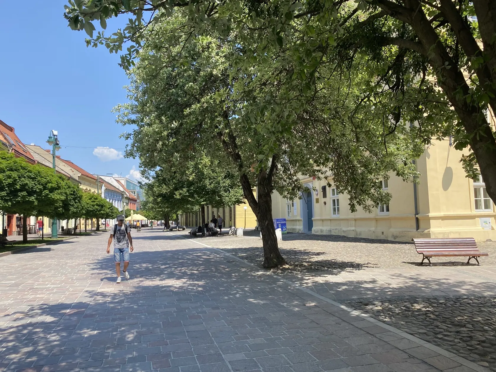 Centrum Prešova. Kamennú dlažbu medzi budovou knižnice patriacej Prešovskému samosprávnemu kraju a Konkatedrálou, pod tieňmi stromov , si vybral konzul na parkovanie svojho služobného auta.