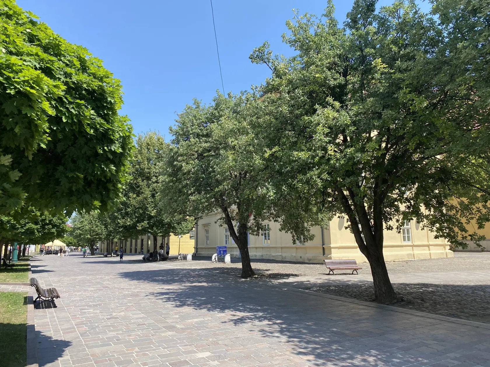 Centrum Prešova. Kamennú dlažbu medzi budovou knižnice patriacej Prešovskému samosprávnemu kraju a Konkatedrálou, pod tieňmi stromov , si vybral konzul na parkovanie svojho služobného auta.