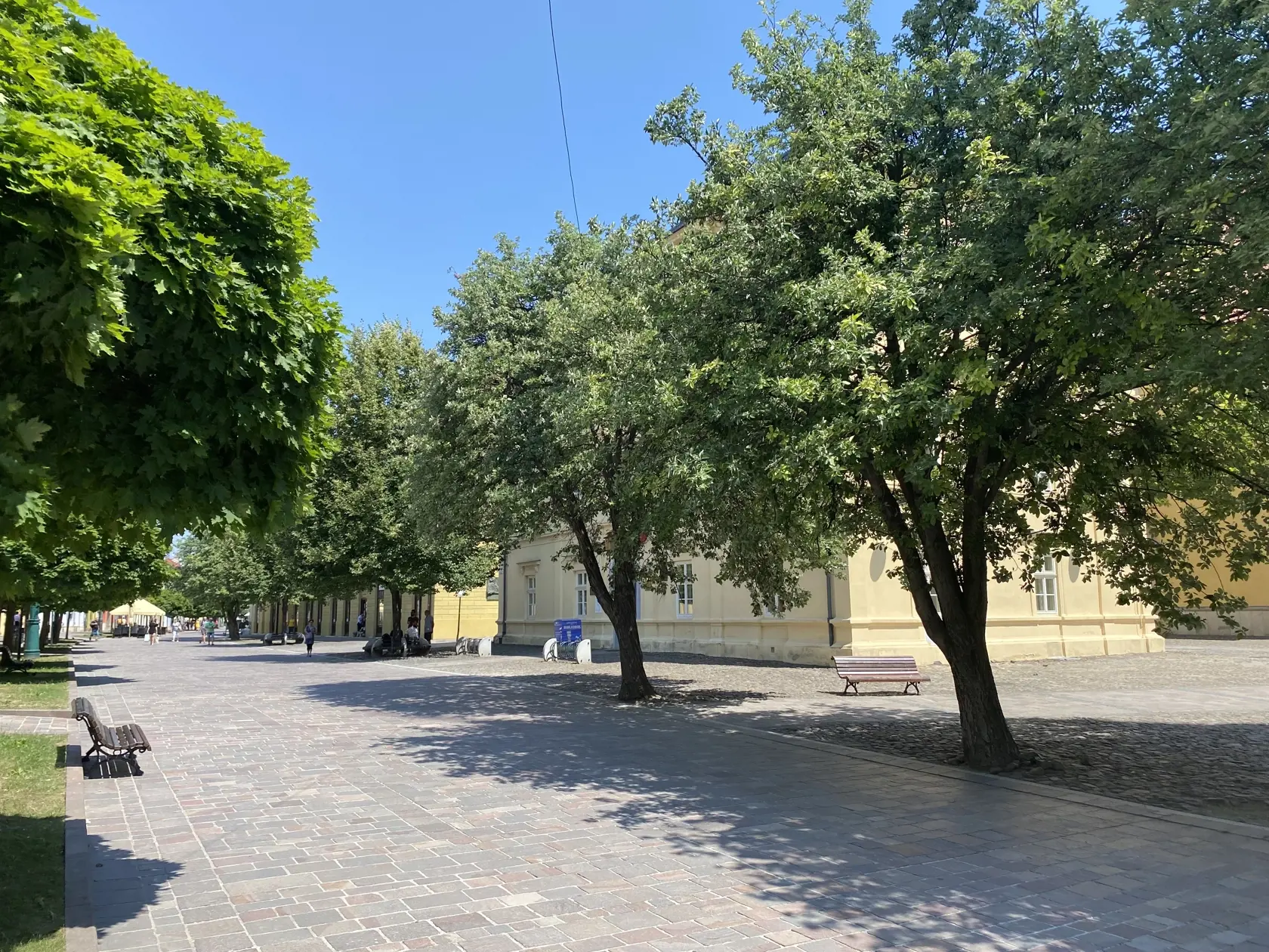 Centrum Prešova. Kamennú dlažbu medzi budovou knižnice patriacej Prešovskému samosprávnemu kraju a Konkatedrálou, pod tieňmi stromov , si vybral konzul na parkovanie svojho služobného auta.