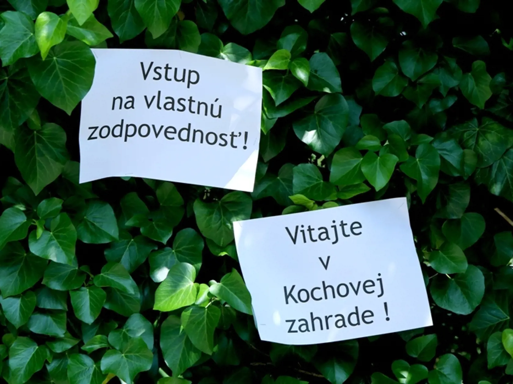 KOCHOVA ZÁHRADA: Takéto „ocenenie“ sa dostalo niekdajšiemu skvostu.
