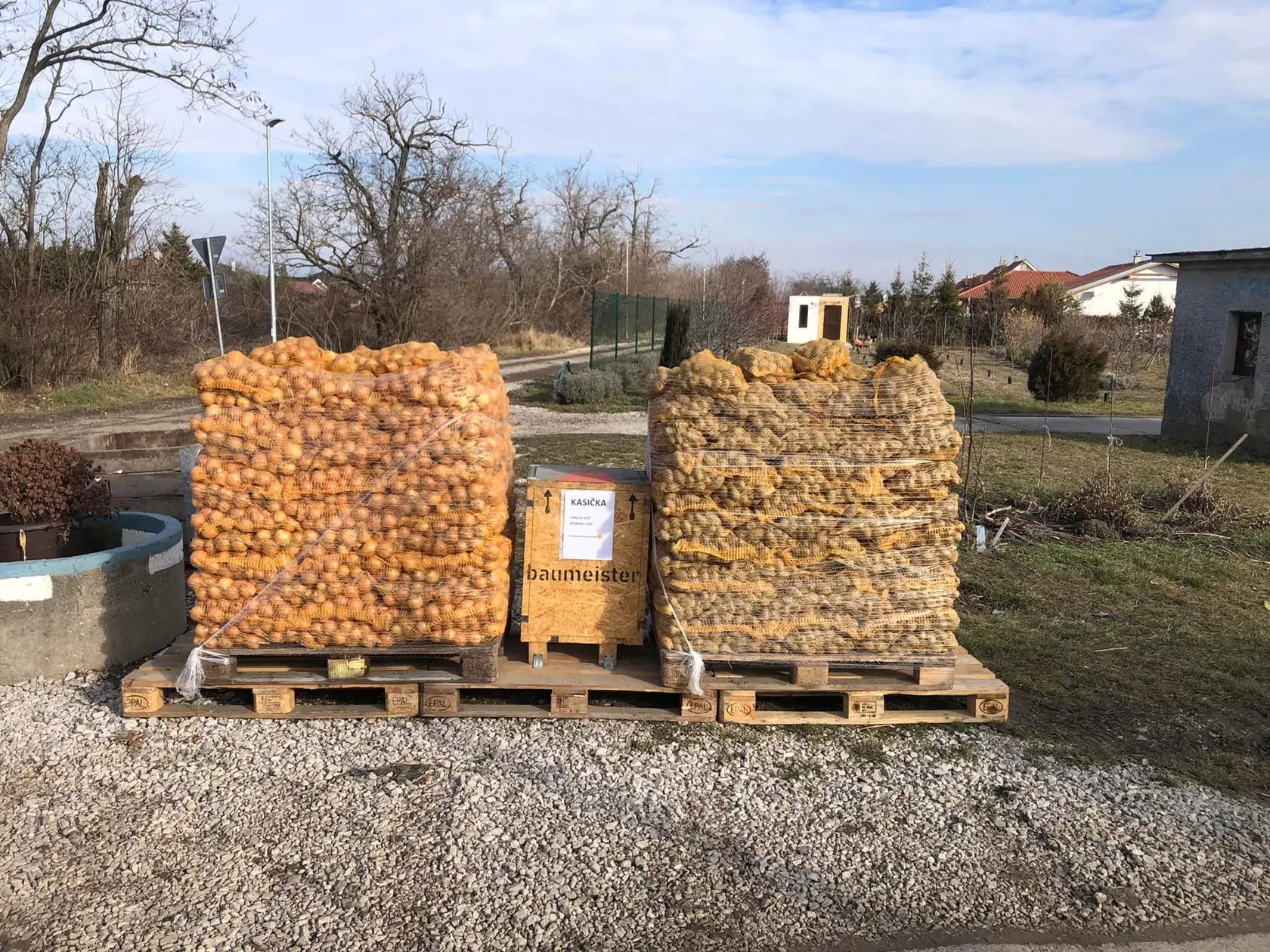 Zemiaky na použitie okoloidúcim. V strede je kasička na dobrovoľný príspevok. Nie každý tam hodí peniaze.