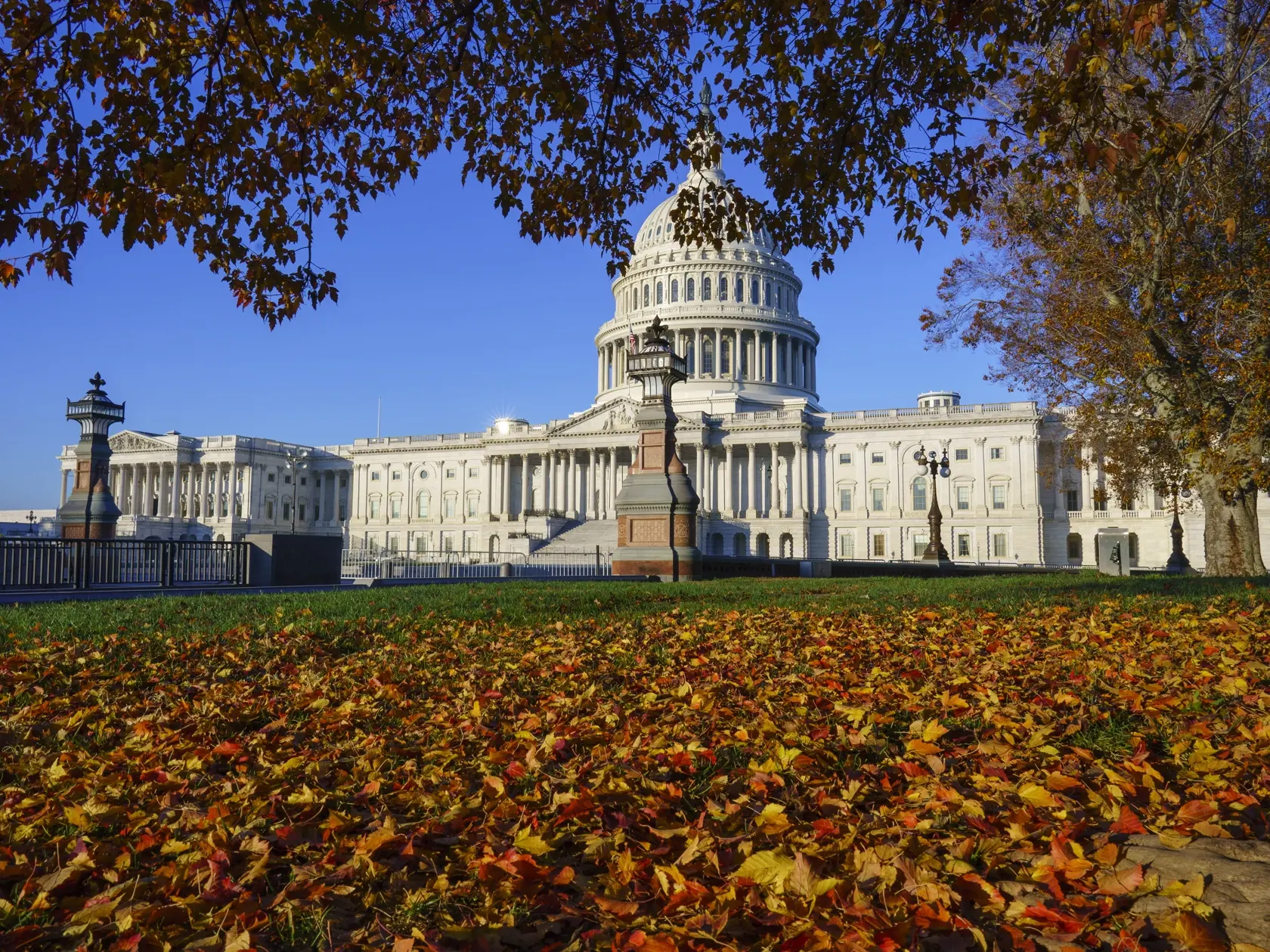 KK40 Washington - Na snímke jesenné lístie pred budovou Kapitolu 9. novembra 2020 vo Washingtone. FOTO TASR/AP
Autumn leaves blanket the lawn of the Capitol in Washington, early Monday, Nov. 9, 2020.  (AP Photo/J. Scott Applewhite)