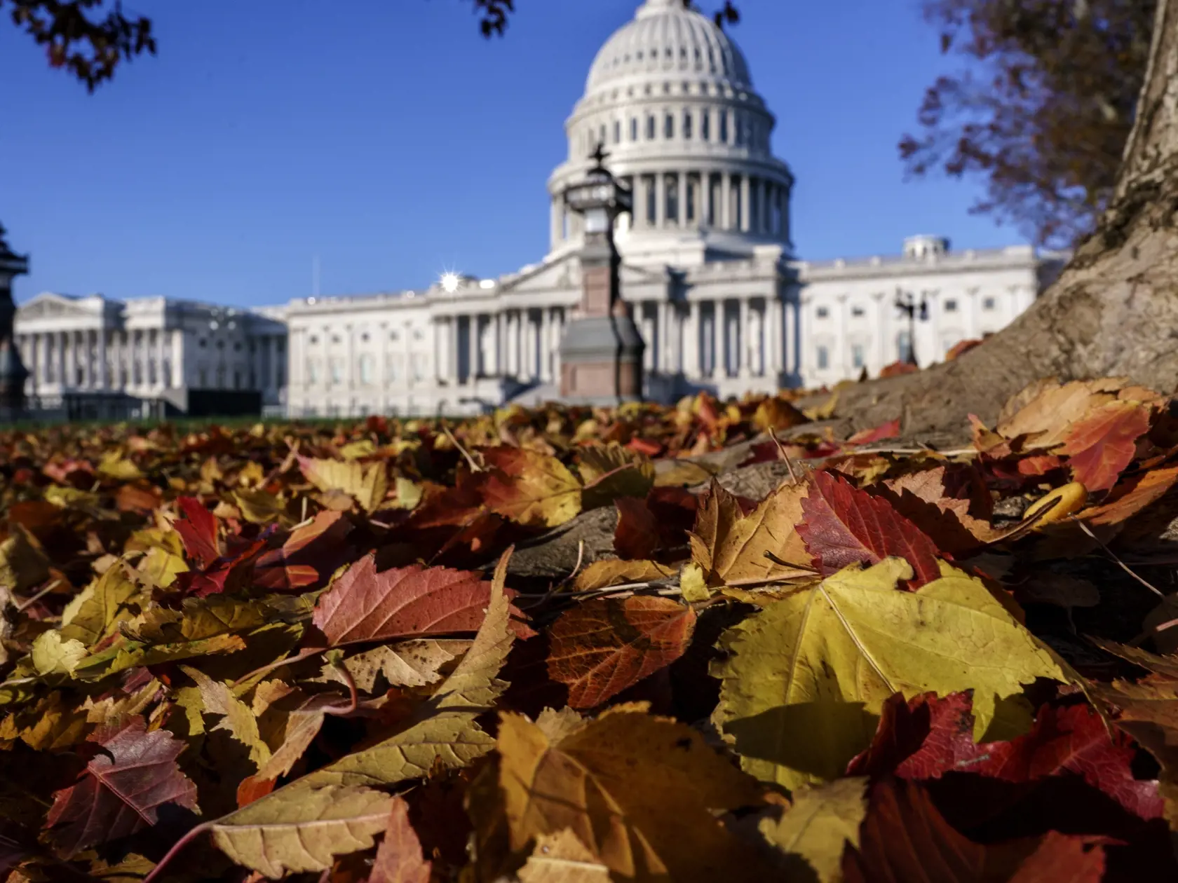 KK41 Washington - Na snímke jesenné lístie pred budovou Kapitolu 9. novembra 2020 vo Washingtone. FOTO TASR/AP
Autumn leaves blanket the lawn of the Capitol in Washington, early Monday, Nov. 9, 2020.  (AP Photo/J. Scott Applewhite)