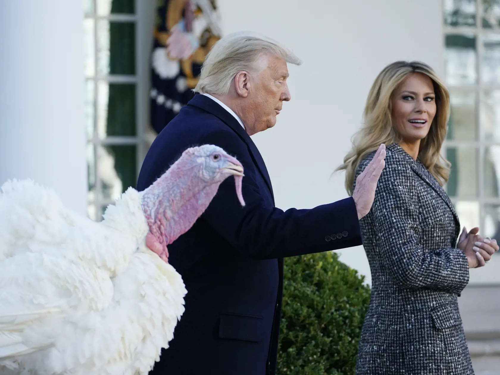 WA 50 Washington - Americký prezident Donald Trump (vľavo) odchádza po omilostení moriaka Corna pri príležitosti osláv Dňa vďakyvzdania v Bielom dome vo Washingtone 24. novembra 2020.Vpravo prvá dáma USA Melania Trumpová. FOTO TASR/AP 

President Donald Trump walks away after pardoning Corn, the national Thanksgiving turkey, in the Rose Garden of the White House, Tuesday, Nov. 24, 2020, in Washington, with first lady Melania Trump watches. (AP Photo/Susan Walsh)