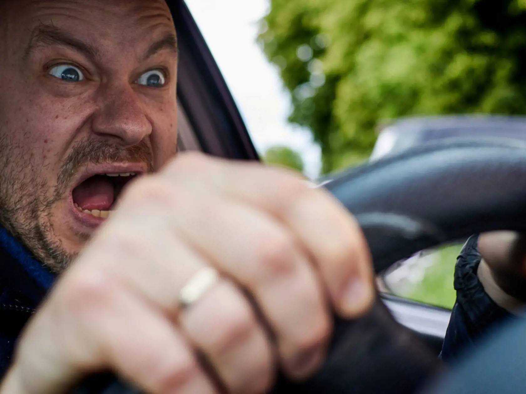ZVER NA CESTE: Ak ju uvidíte v dostatočnej vzdialenosti, polícia odporúča zastať a trúbiť.