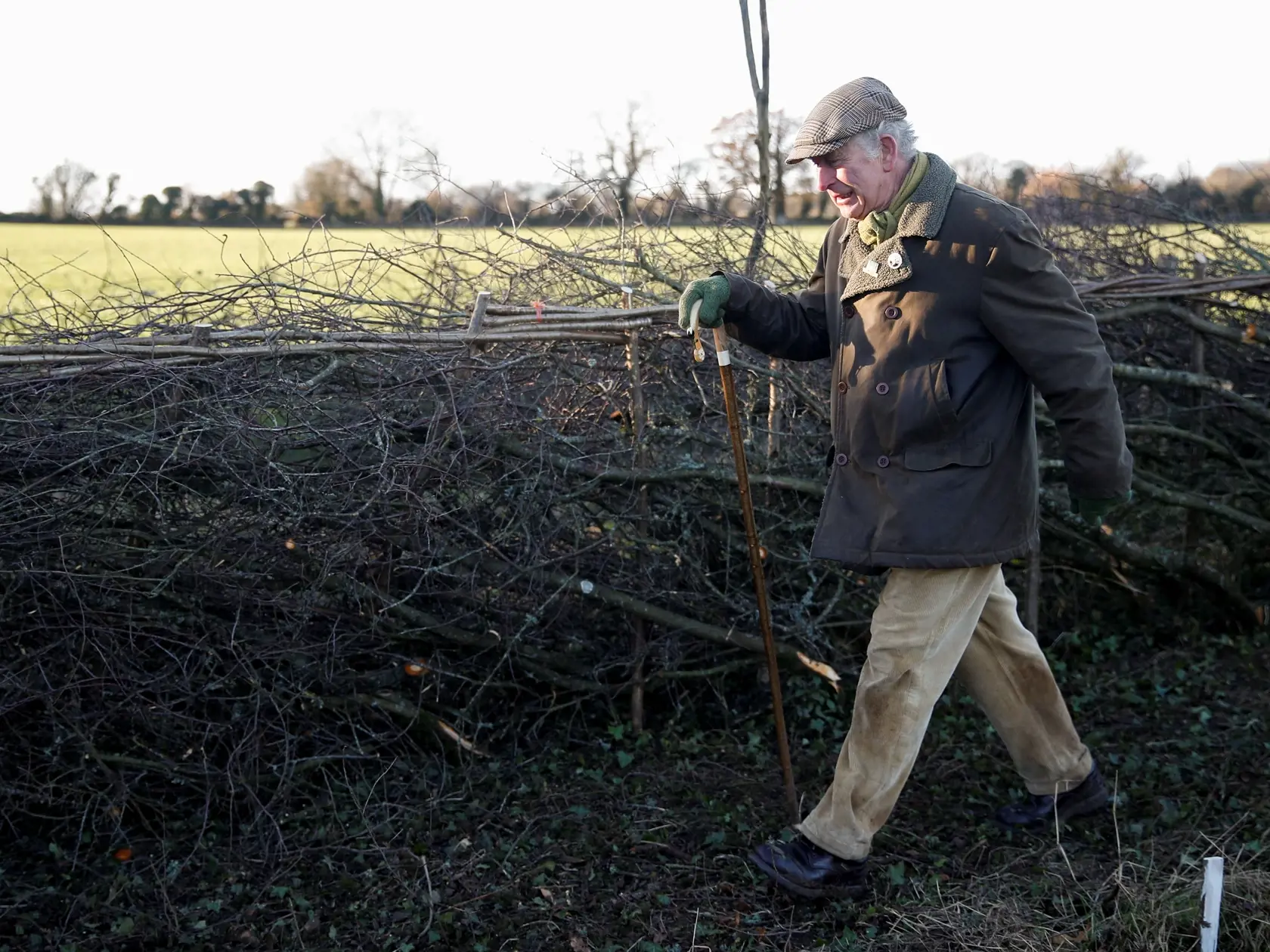 The Prince Of Wales Attends A Hedgelaying Event At Highgrove