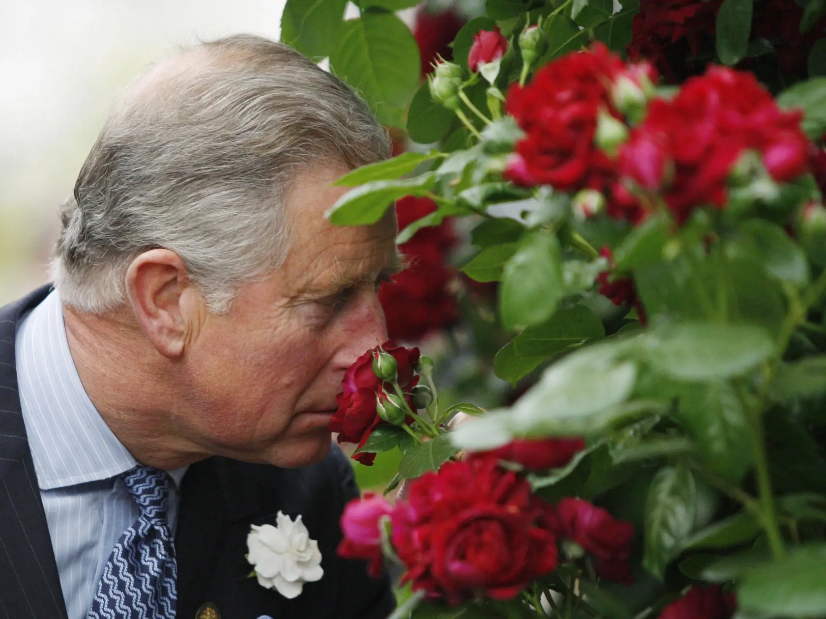 Chelsea Flower Show - Press & VIP Preview Day
