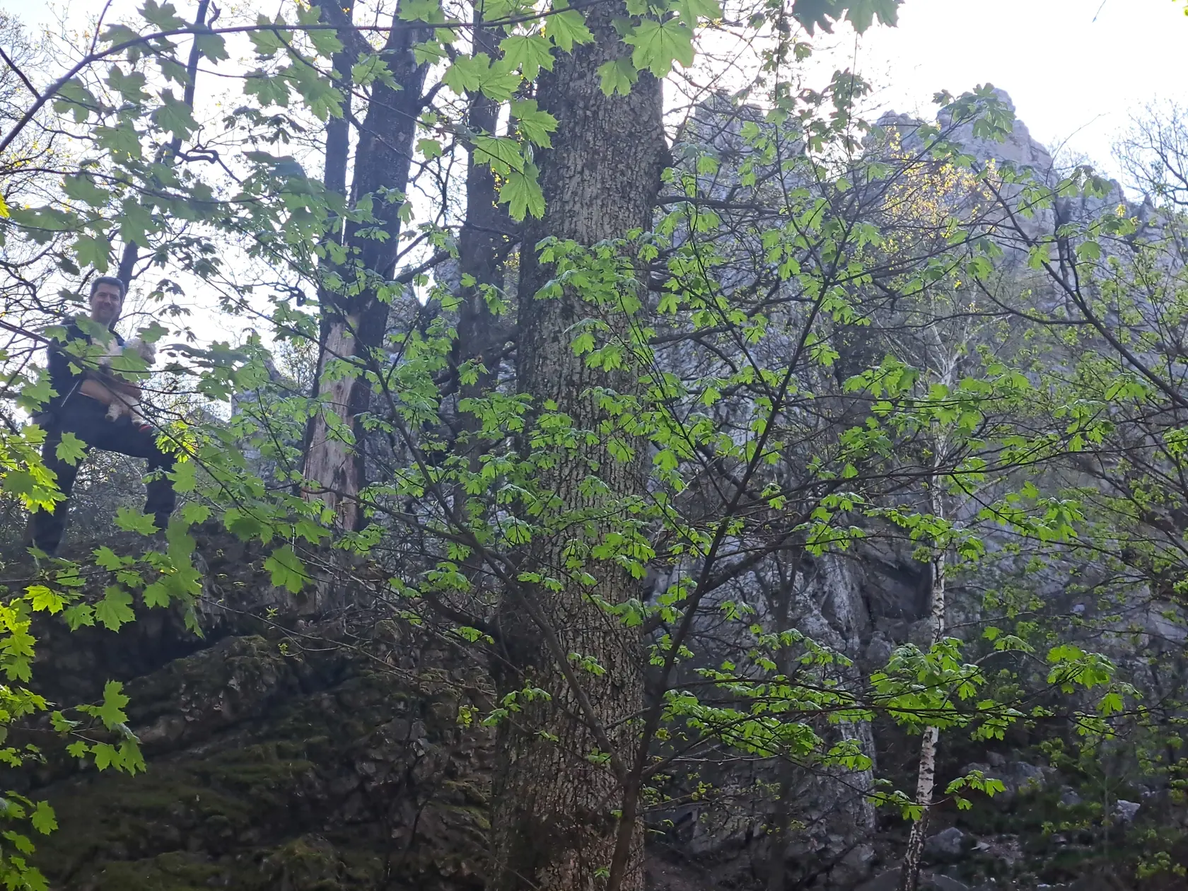 V pohorí Tribeč sa už nevysvetliteľne stratilo niekoľko ľudí.