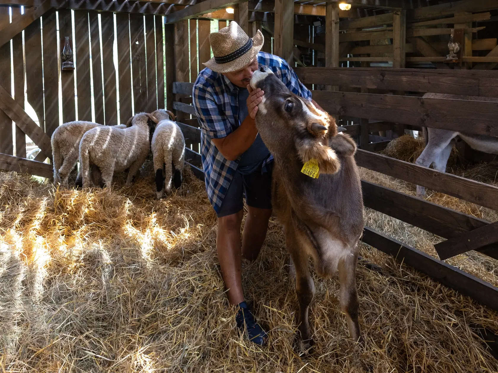 Realityshow Farma - 16. Ročník obľúbenej sútaže televízie Markíza sa bude odohrávať nedaľeko obce Modrová. Na snímke je farmár Martin Bagár.